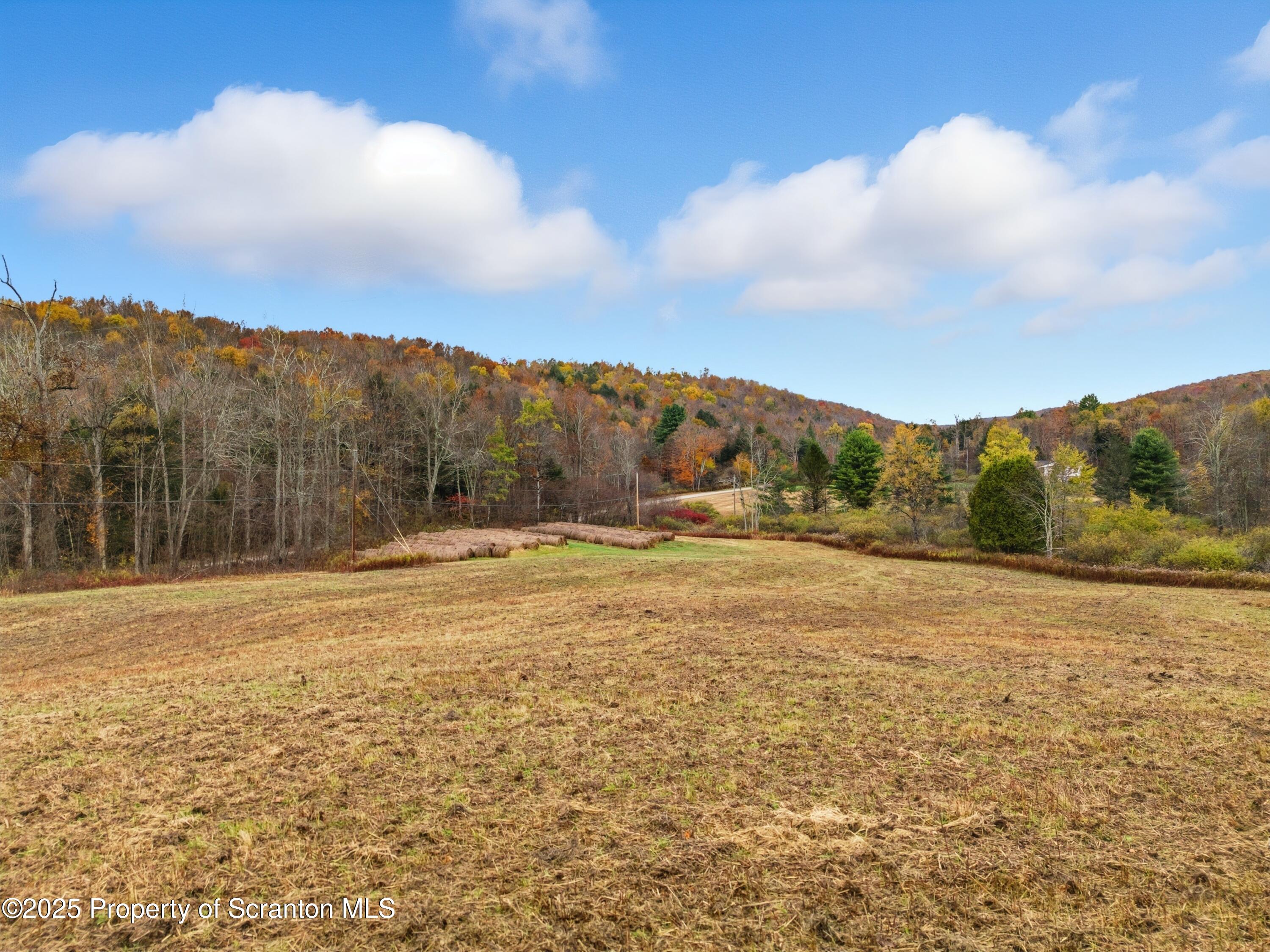 Podunk Road New Milford, PA 18834 - Photo 12 of 22 DJI_20251018122108_0460_D