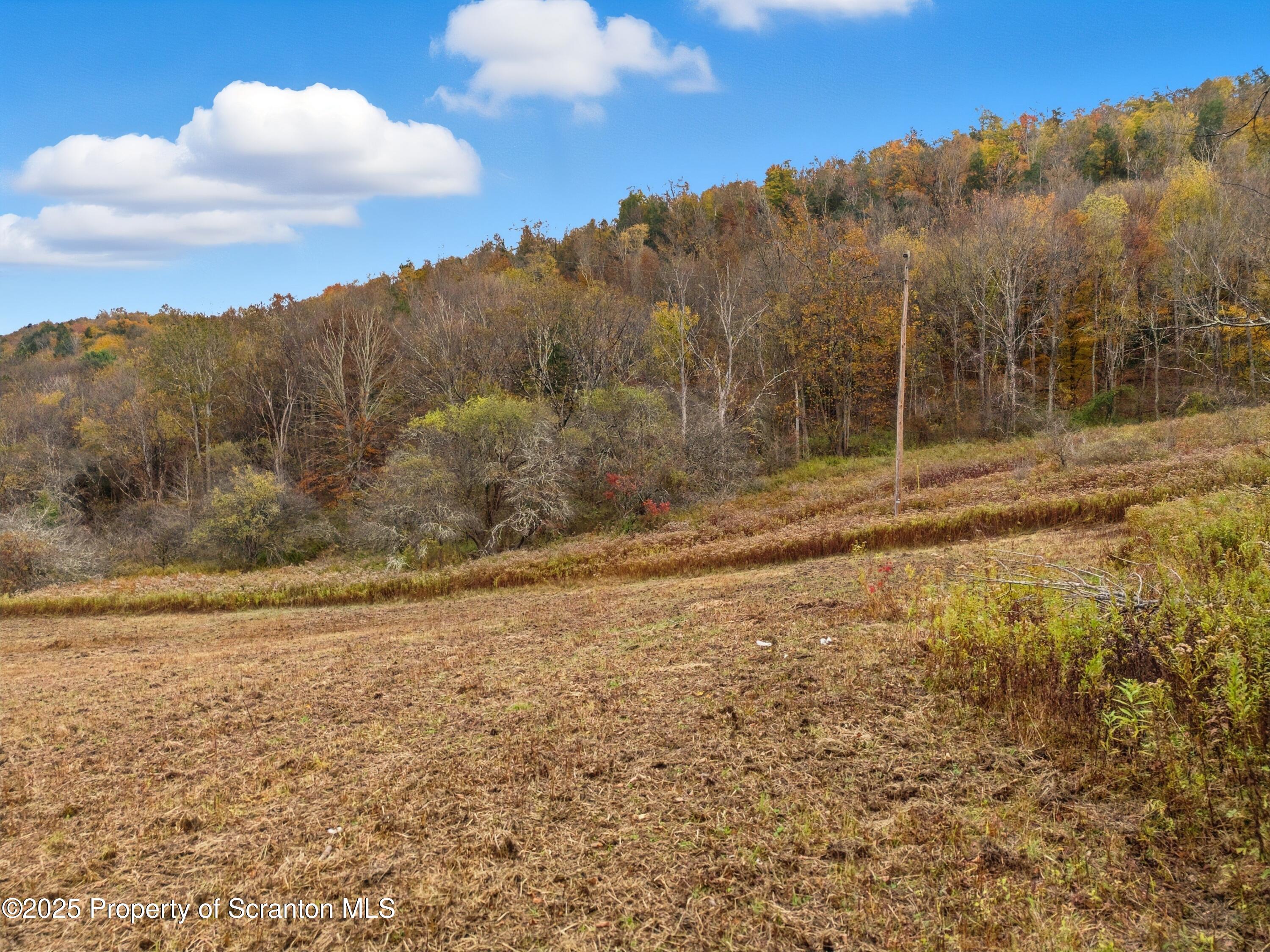 Podunk Road New Milford, PA 18834 - Photo 13 of 22 DJI_20251018122116_0465_D