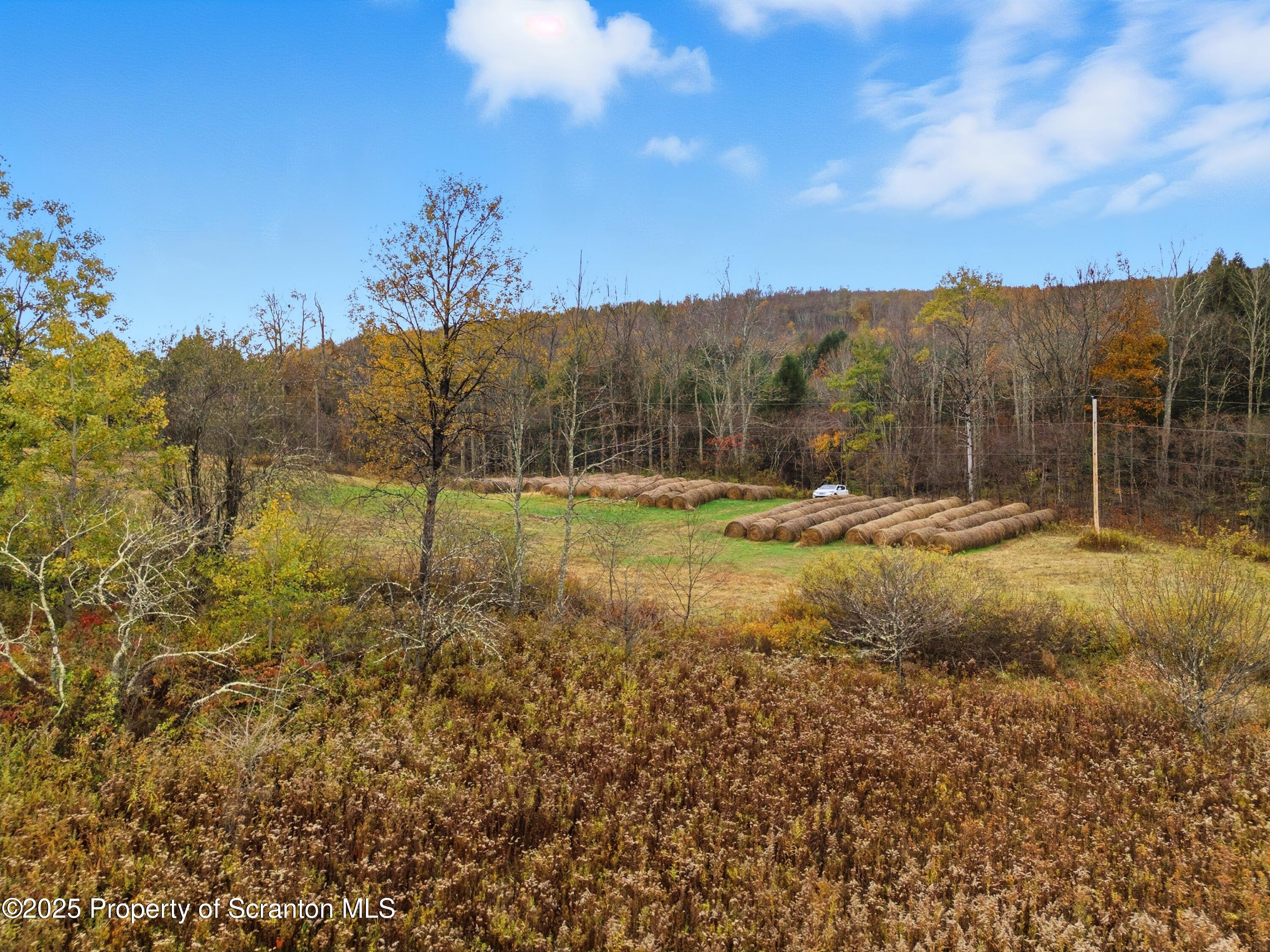 Podunk Road New Milford, PA 18834 - Photo 15 of 22 DJI_20251018122325_0475_D