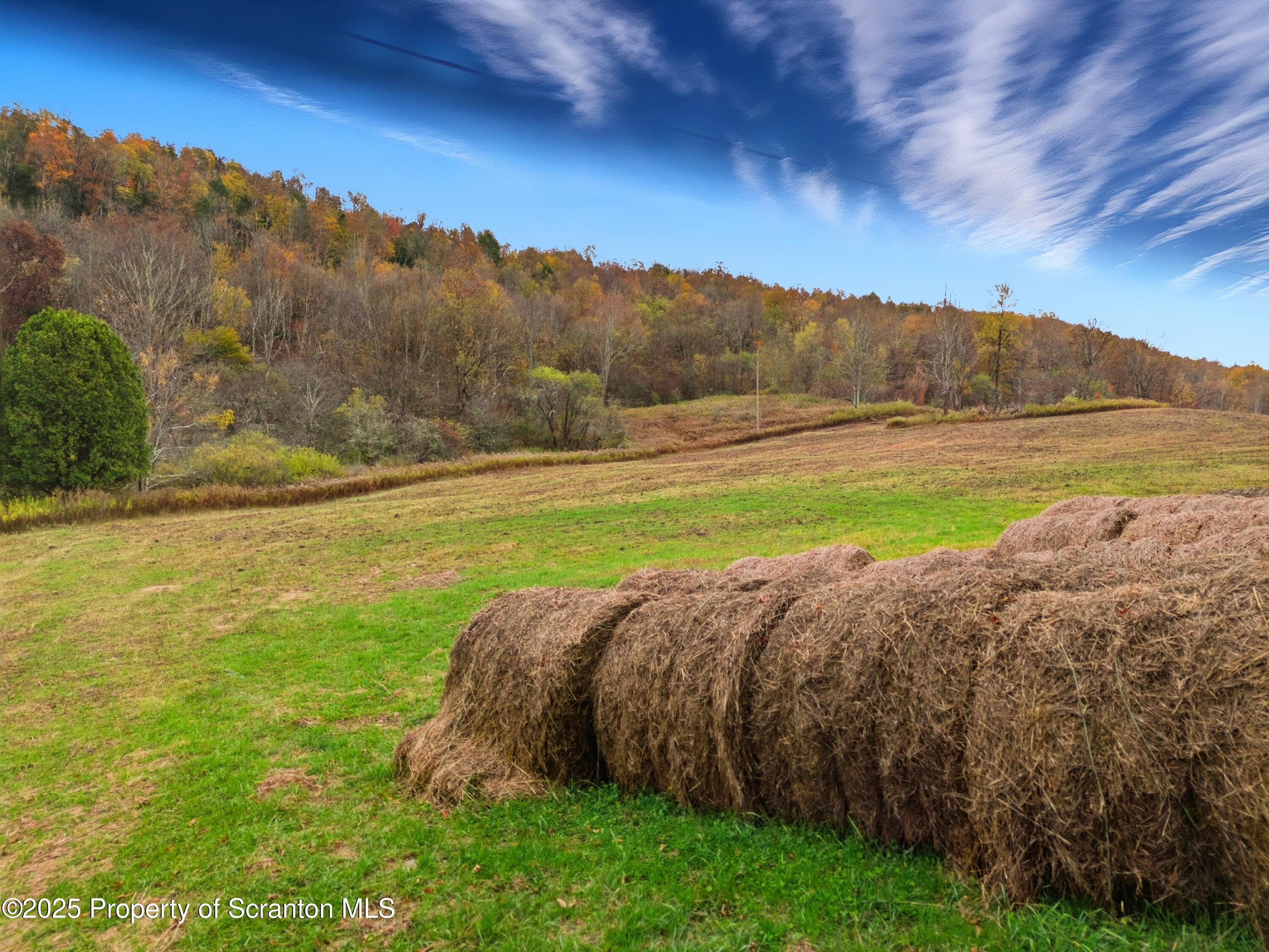Podunk Road New Milford, PA 18834 - Photo 17 of 22 DJI_20251018122404_0485_D