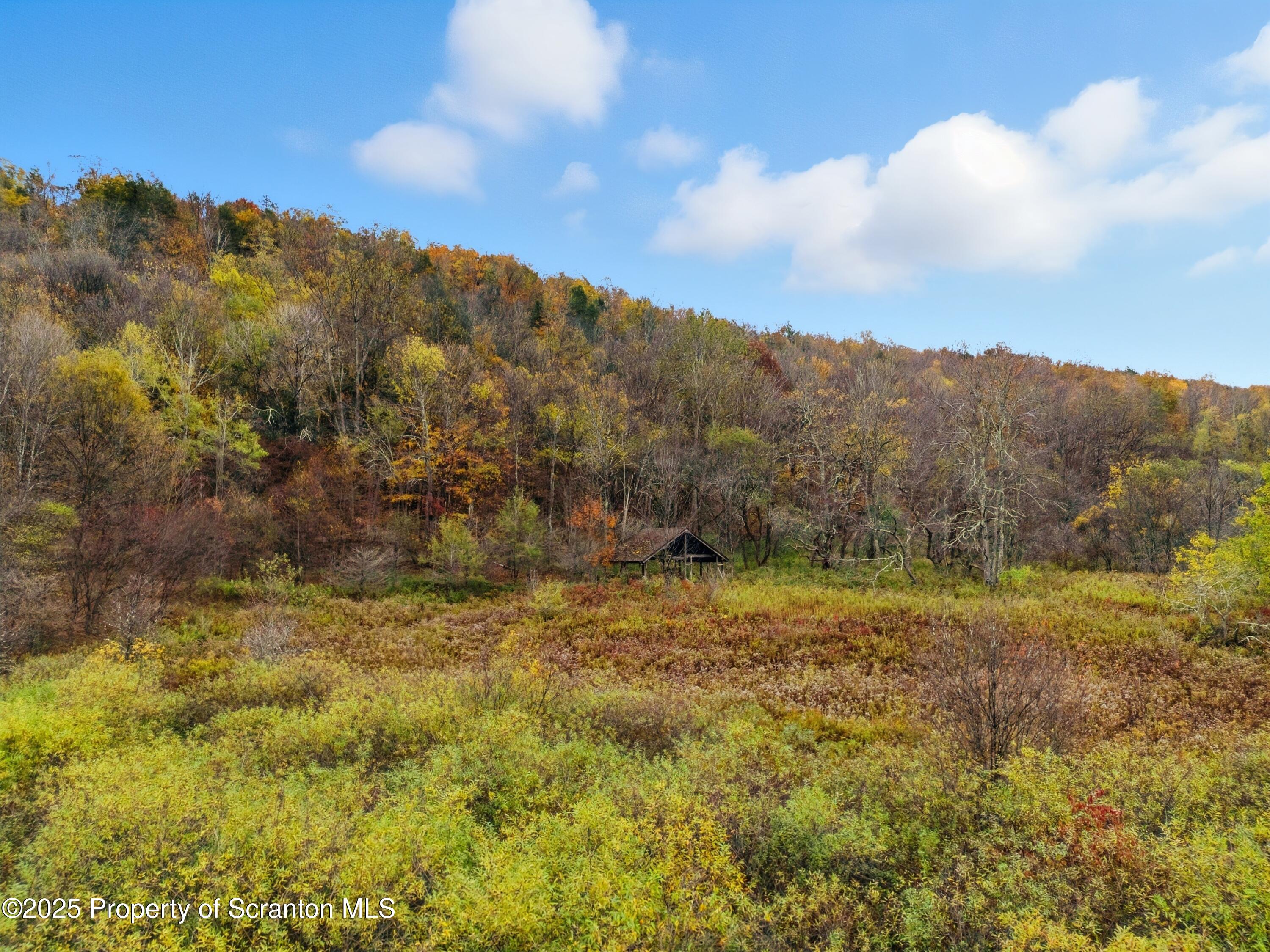 Podunk Road New Milford, PA 18834 - Photo 18 of 22 DJI_20251018122424_0490_D