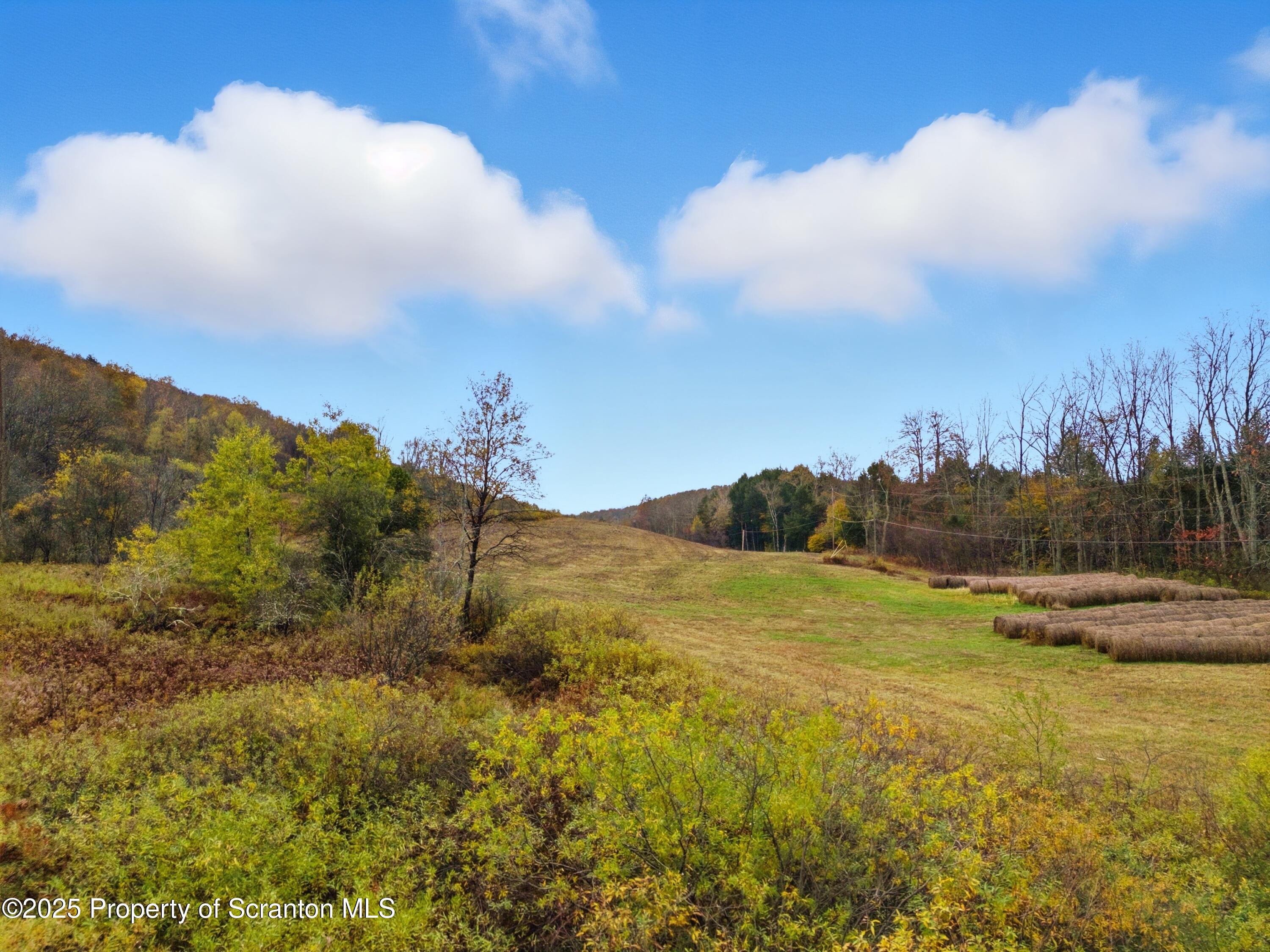 Podunk Road New Milford, PA 18834 - Photo 19 of 22 DJI_20251018122432_0495_D