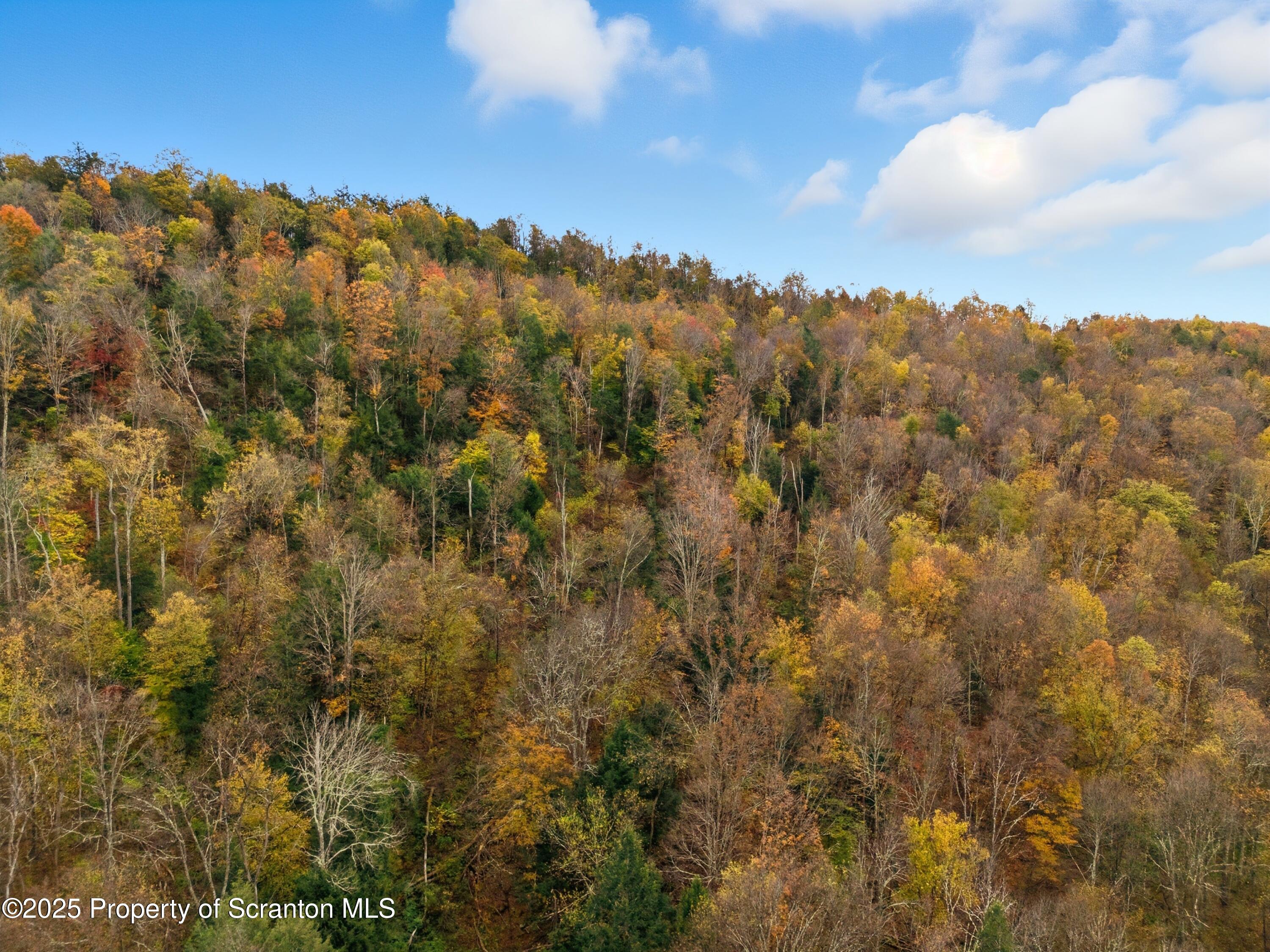Podunk Road New Milford, PA 18834 - Photo 20 of 22 DJI_20251018122501_0500_D
