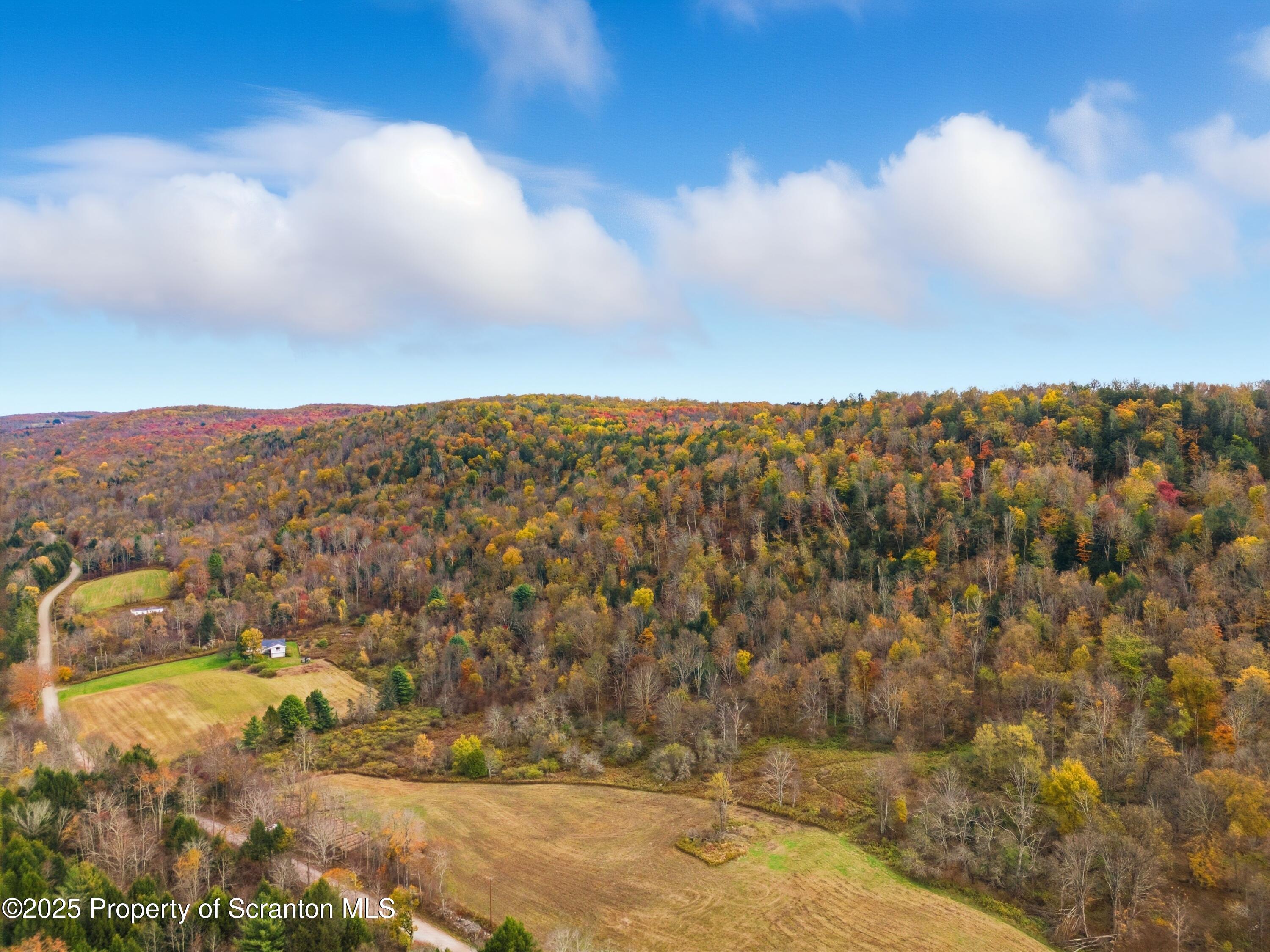 Podunk Road New Milford, PA 18834 - Photo 2 of 22 DJI_20251018121313_0402_D