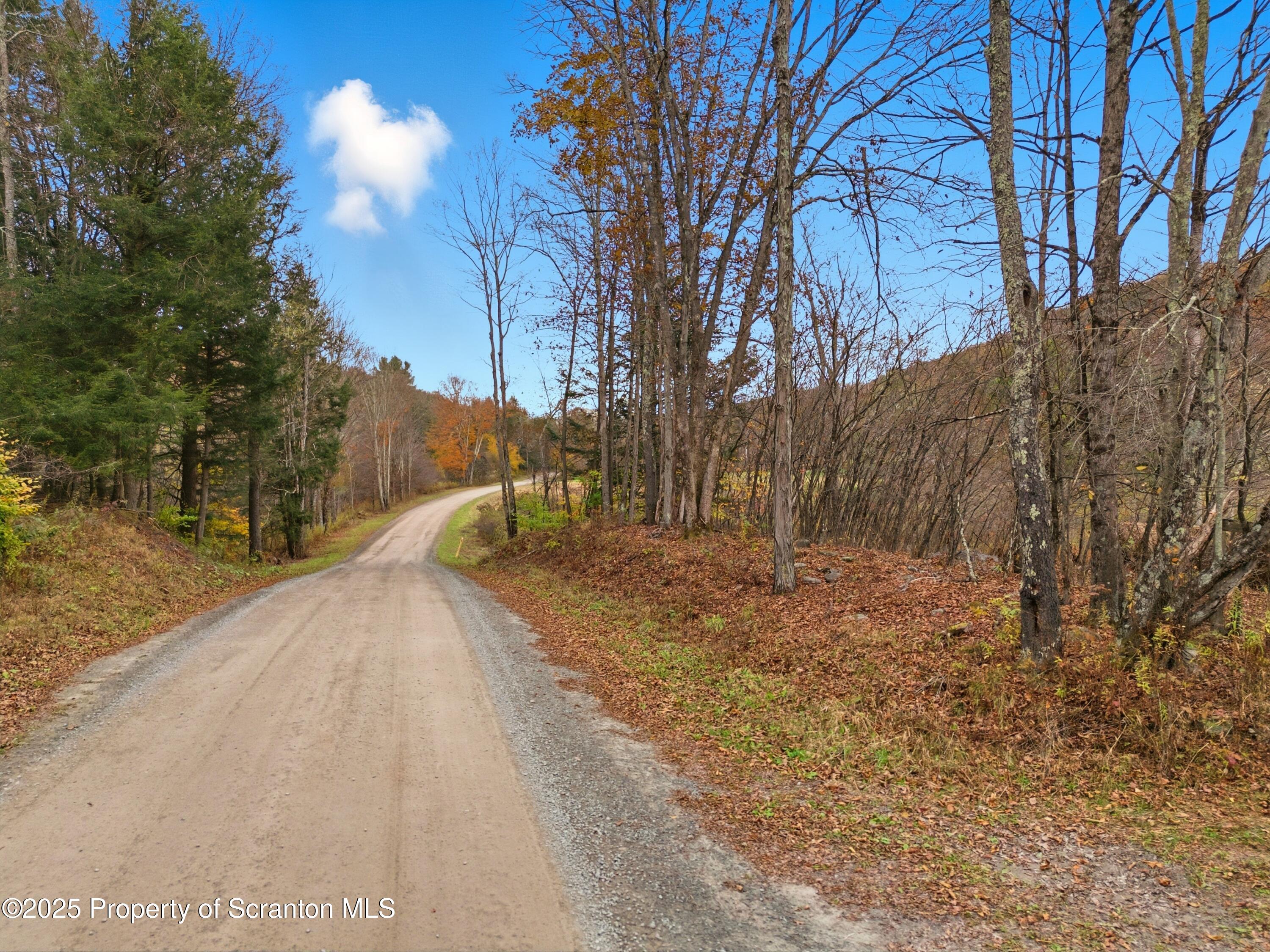 Podunk Road New Milford, PA 18834 - Photo 21 of 22 DJI_20251018122602_0505_D