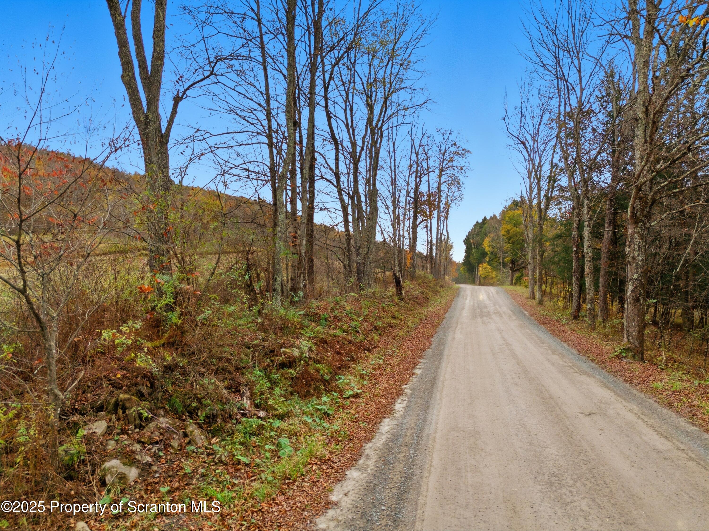 Podunk Road New Milford, PA 18834 - Photo 22 of 22 DJI_20251018122629_0510_D