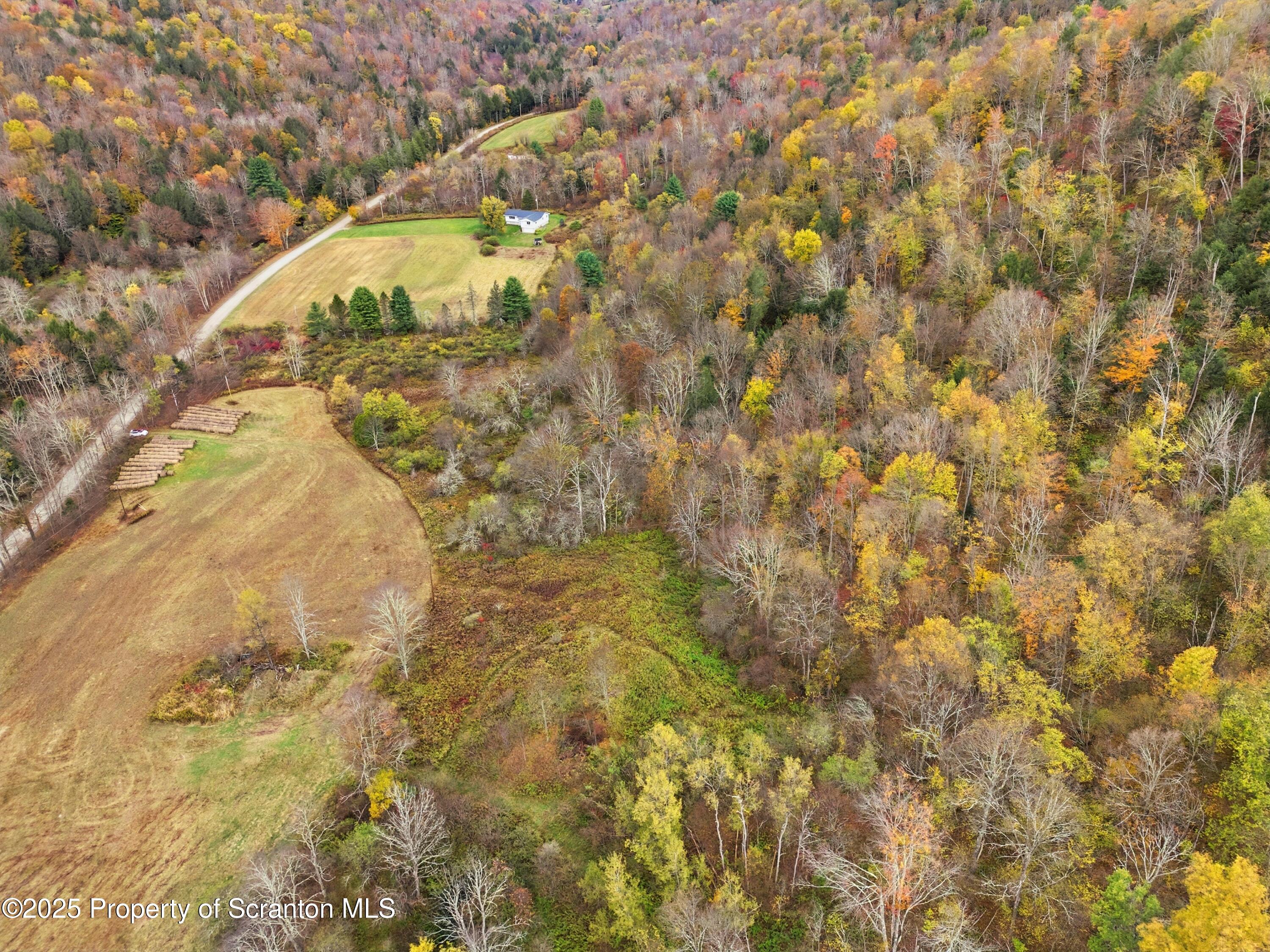 Podunk Road New Milford, PA 18834 - Photo 3 of 22 DJI_20251018121349_0407_D