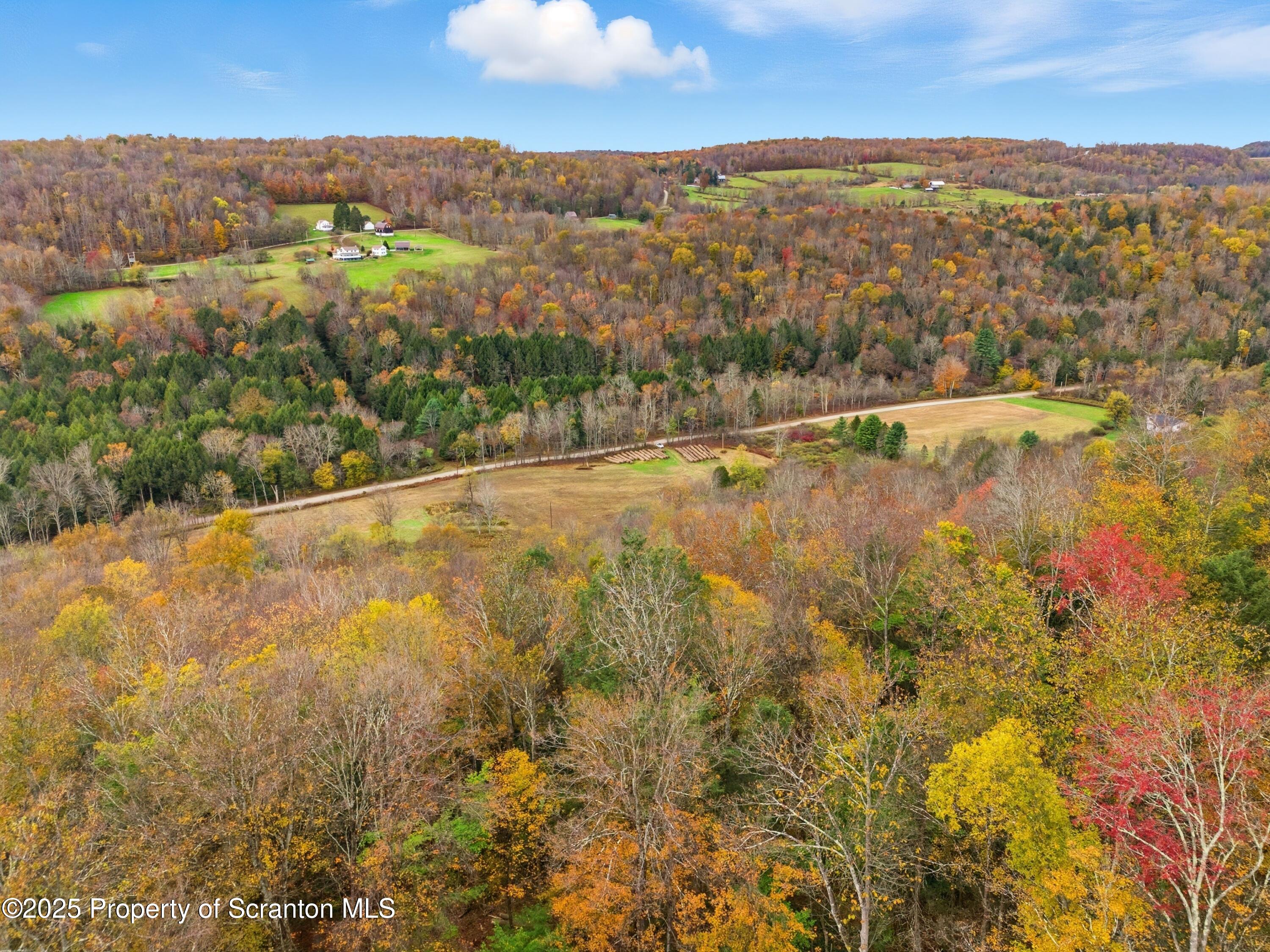 Podunk Road New Milford, PA 18834 - Photo 4 of 22 DJI_20251018121424_0412_D