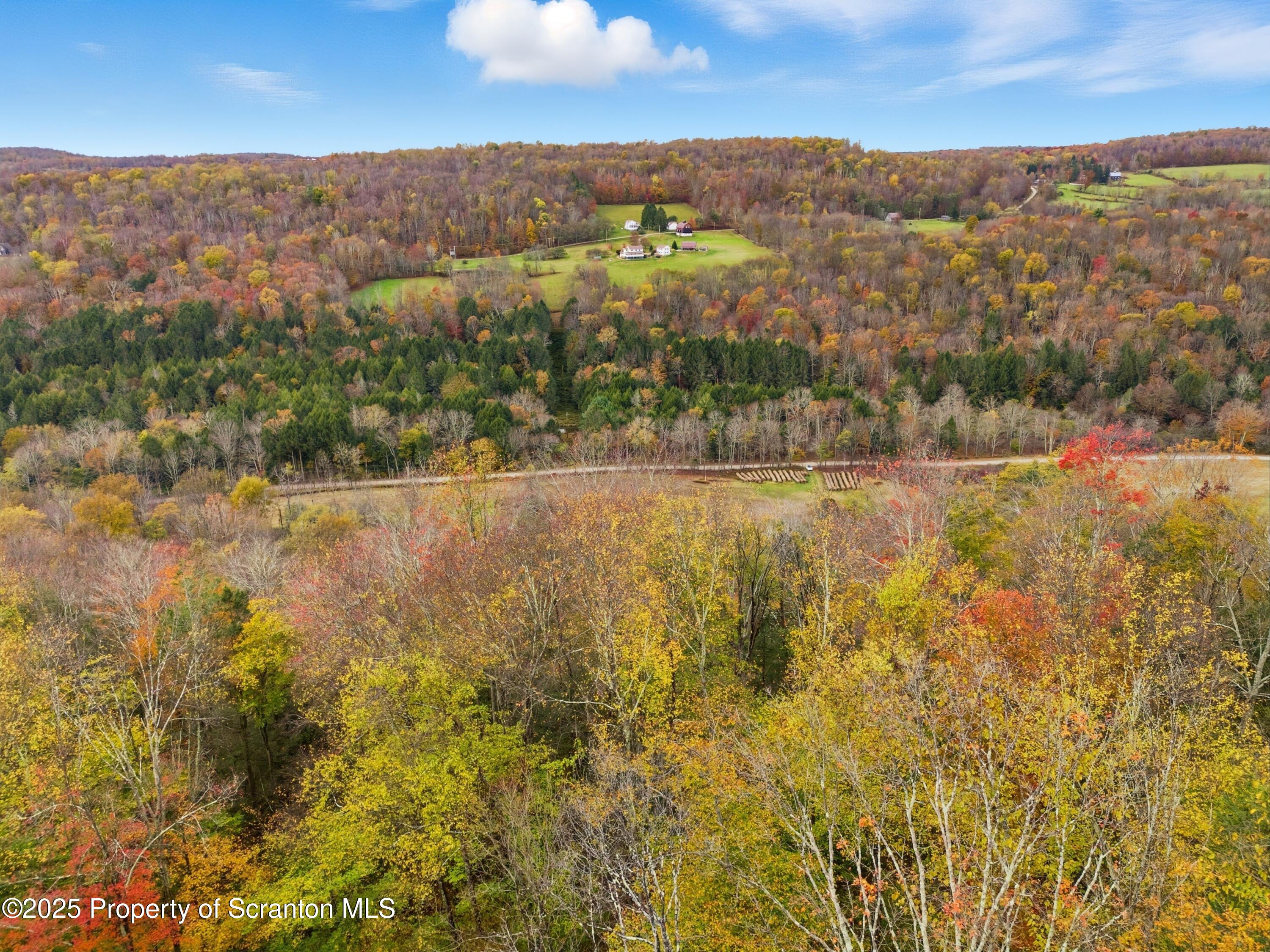 Podunk Road New Milford, PA 18834 - Photo 5 of 22 DJI_20251018121450_0417_D