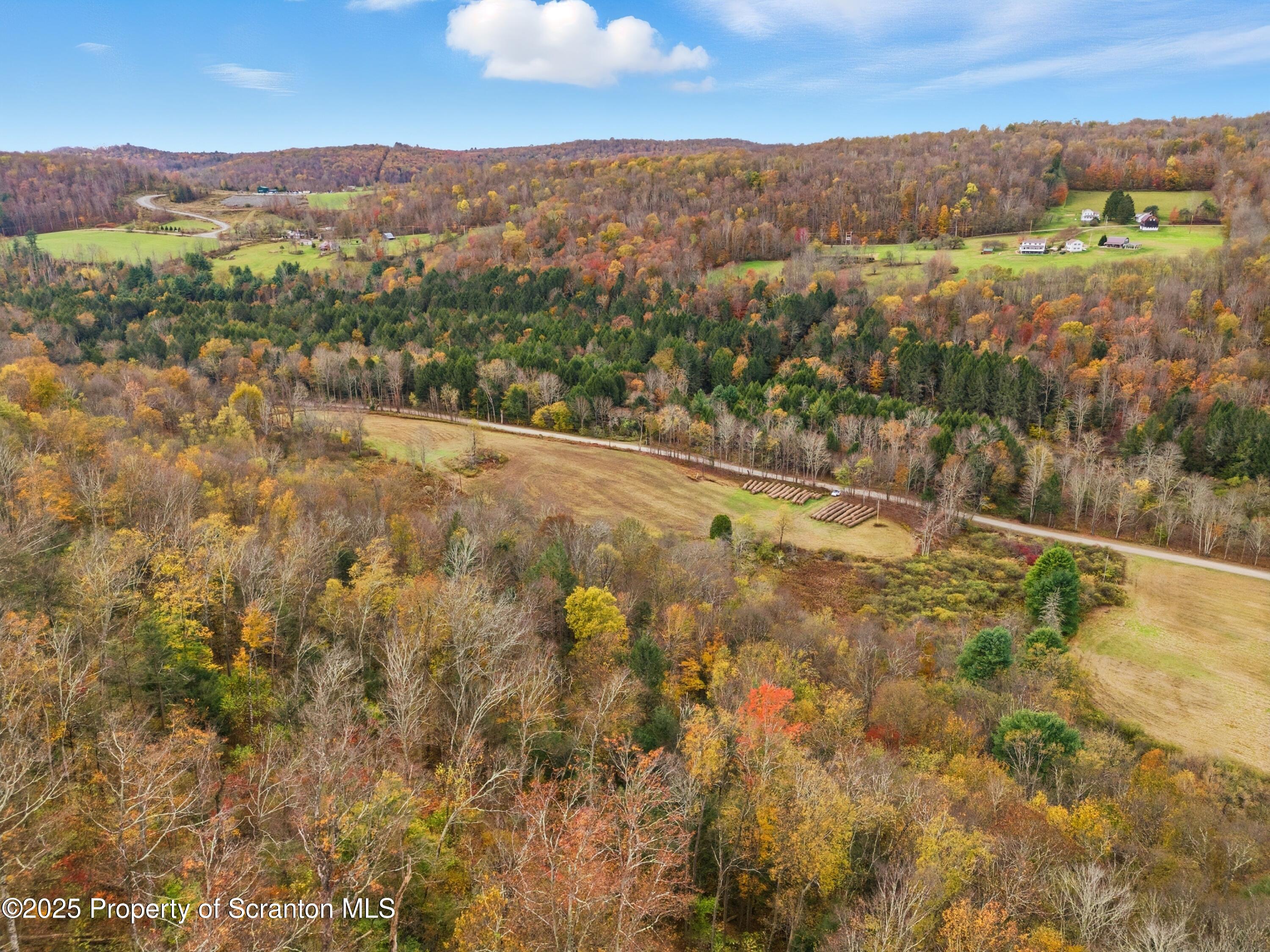 Podunk Road New Milford, PA 18834 - Photo 6 of 22 DJI_20251018121541_0422_D