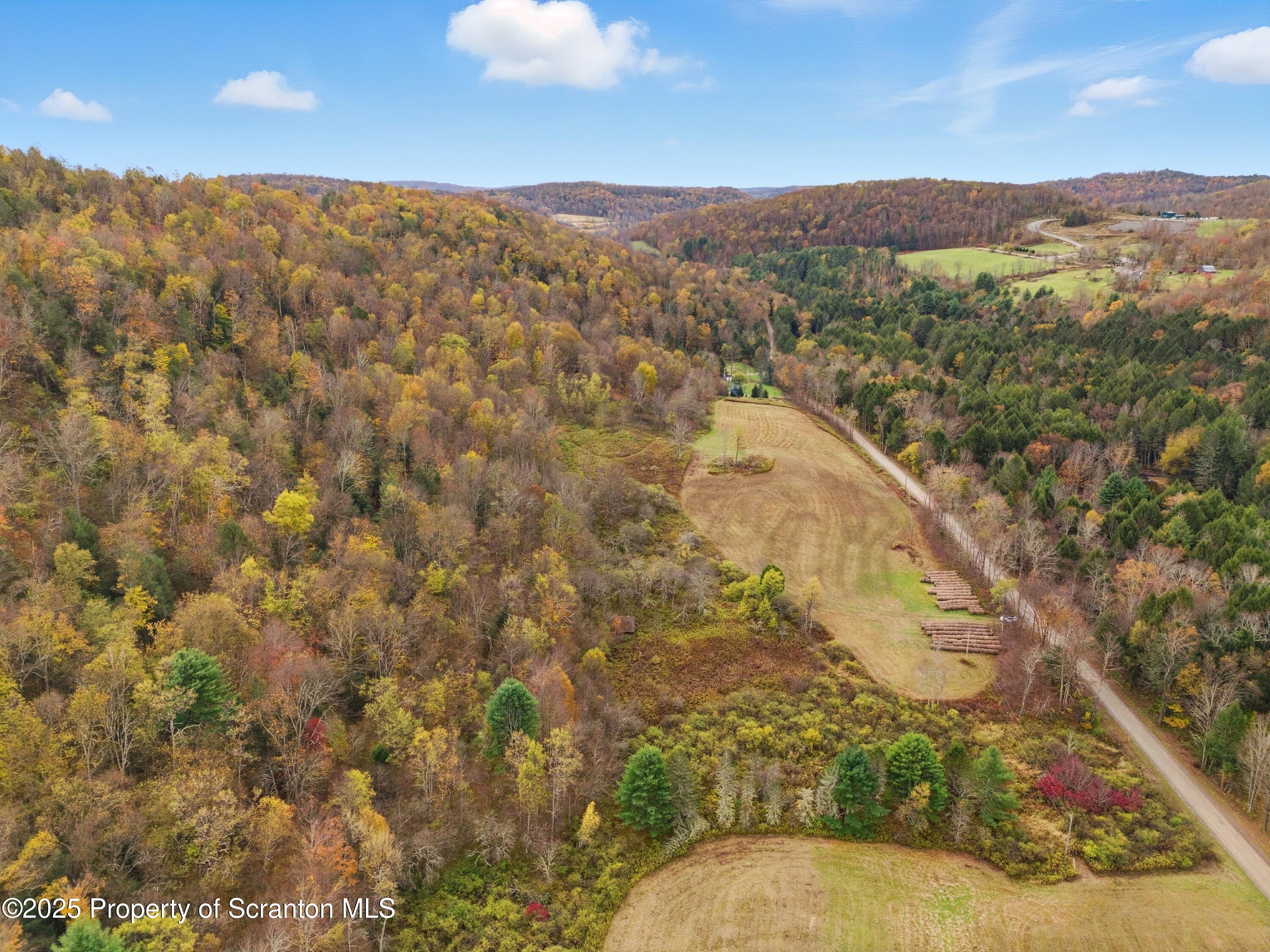 Podunk Road New Milford, PA 18834 - Photo 7 of 22 DJI_20251018121637_0428_D