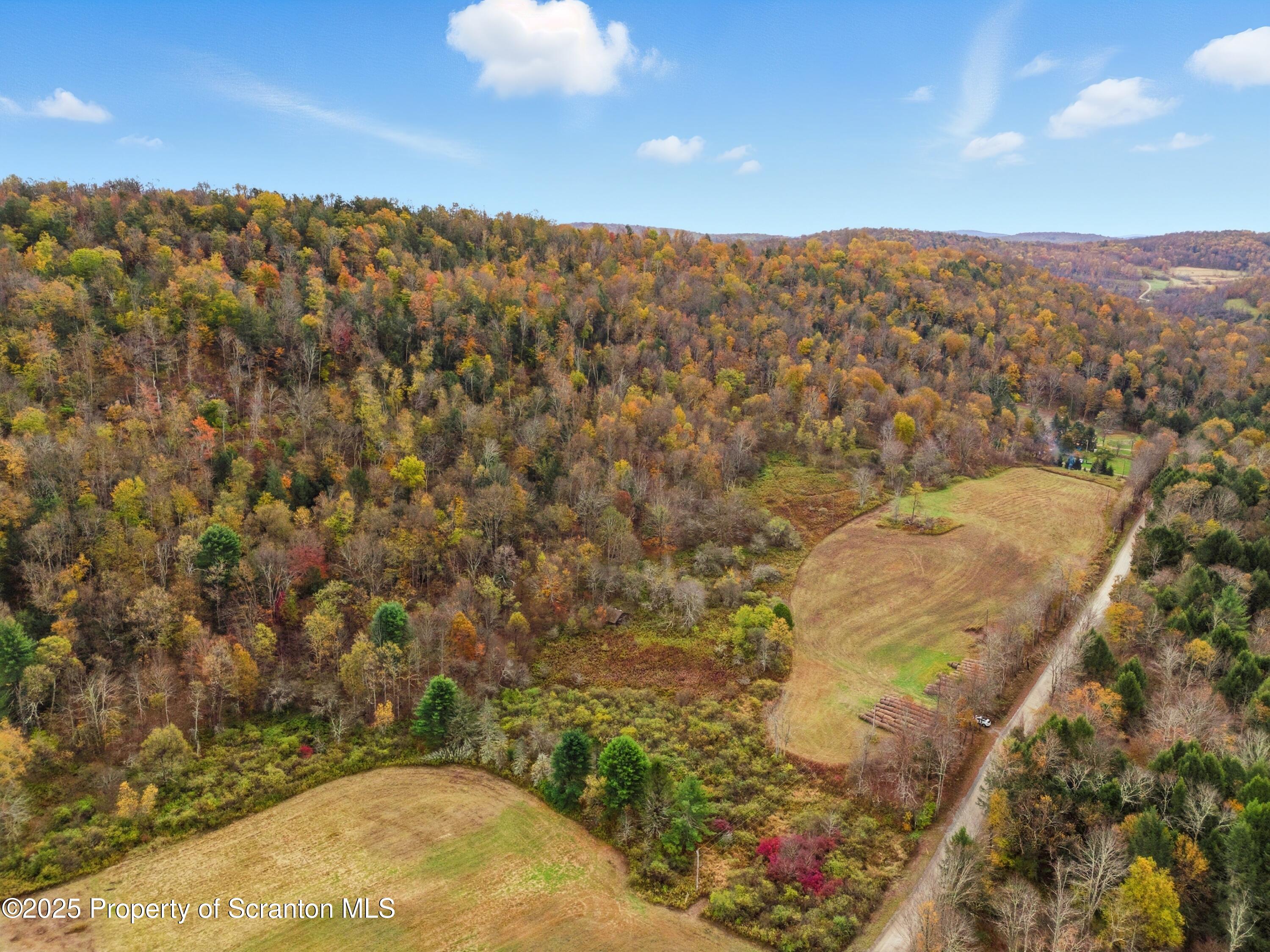 Podunk Road New Milford, PA 18834 - Photo 8 of 22 DJI_20251018121706_0433_D