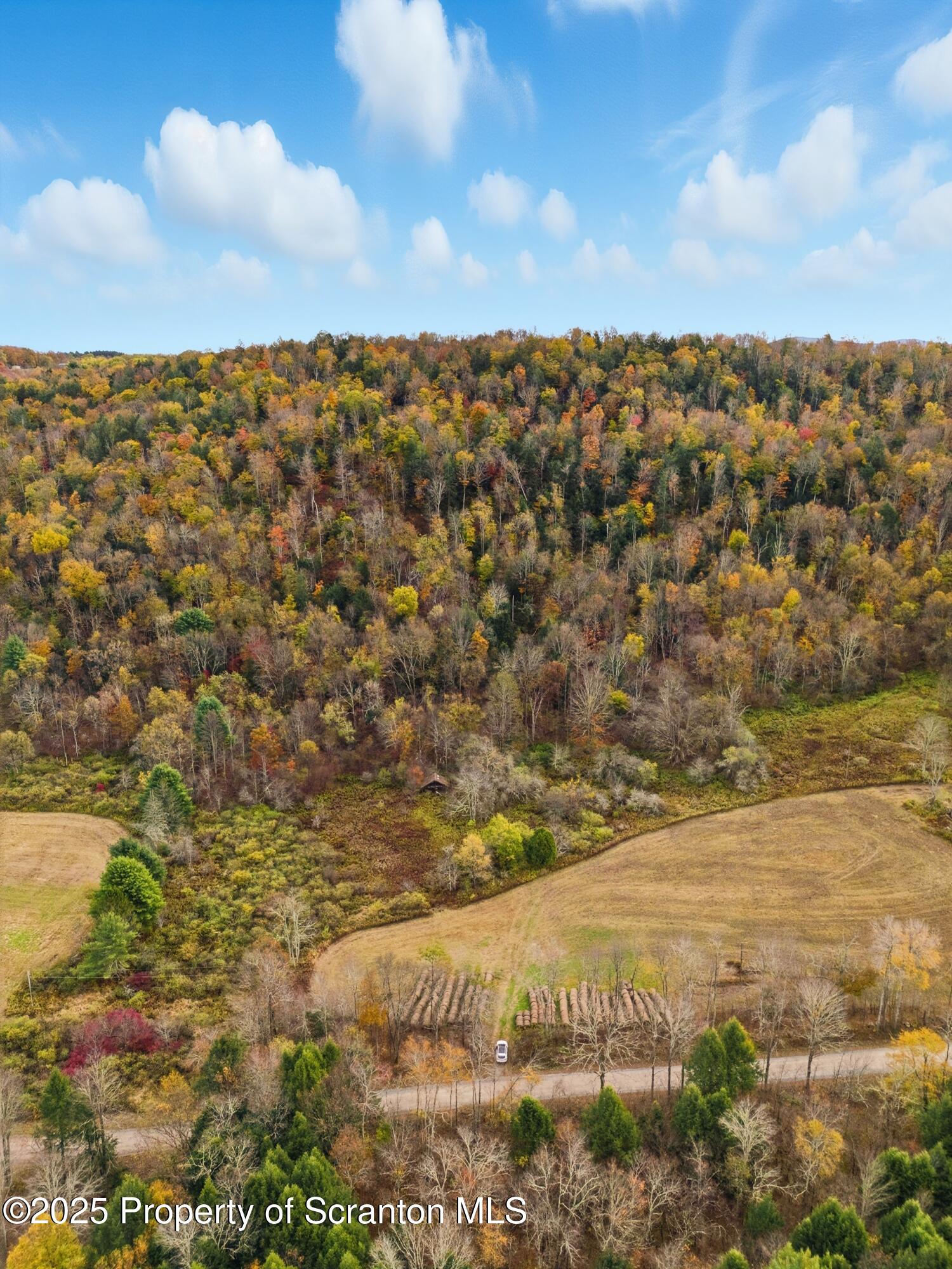 Podunk Road New Milford, PA 18834 - Photo 9 of 22 DJI_20251018121755_0439_D