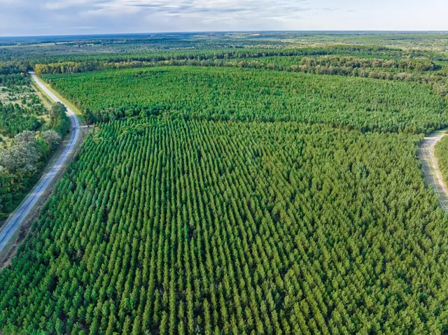 $1,999,950 | 3275 Hadden Pond Road, Avera, GA 30803