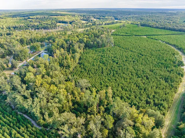 $1,999,950 | 3275 Hadden Pond Road, Avera, GA 30803