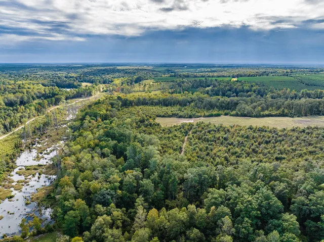 $1,999,950 | 3275 Hadden Pond Road, Avera, GA 30803