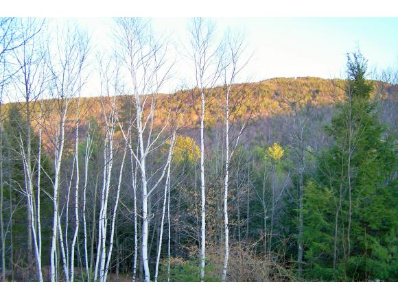 128 Moose Mountain Road Brookfield, NH 03872 - Photo 4 of 35 Gallery Image 4