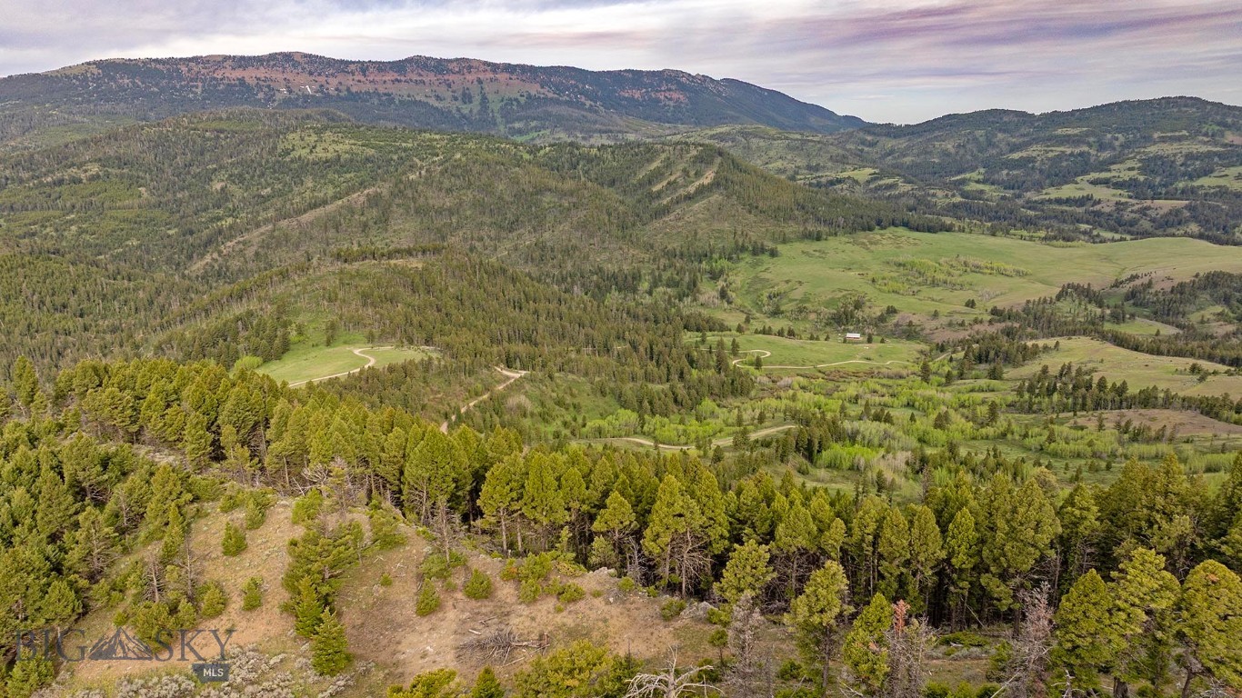 Tbd Petterson Road Wilsall, MT 59086 - Photo 19 of 27 Gallery Image 19