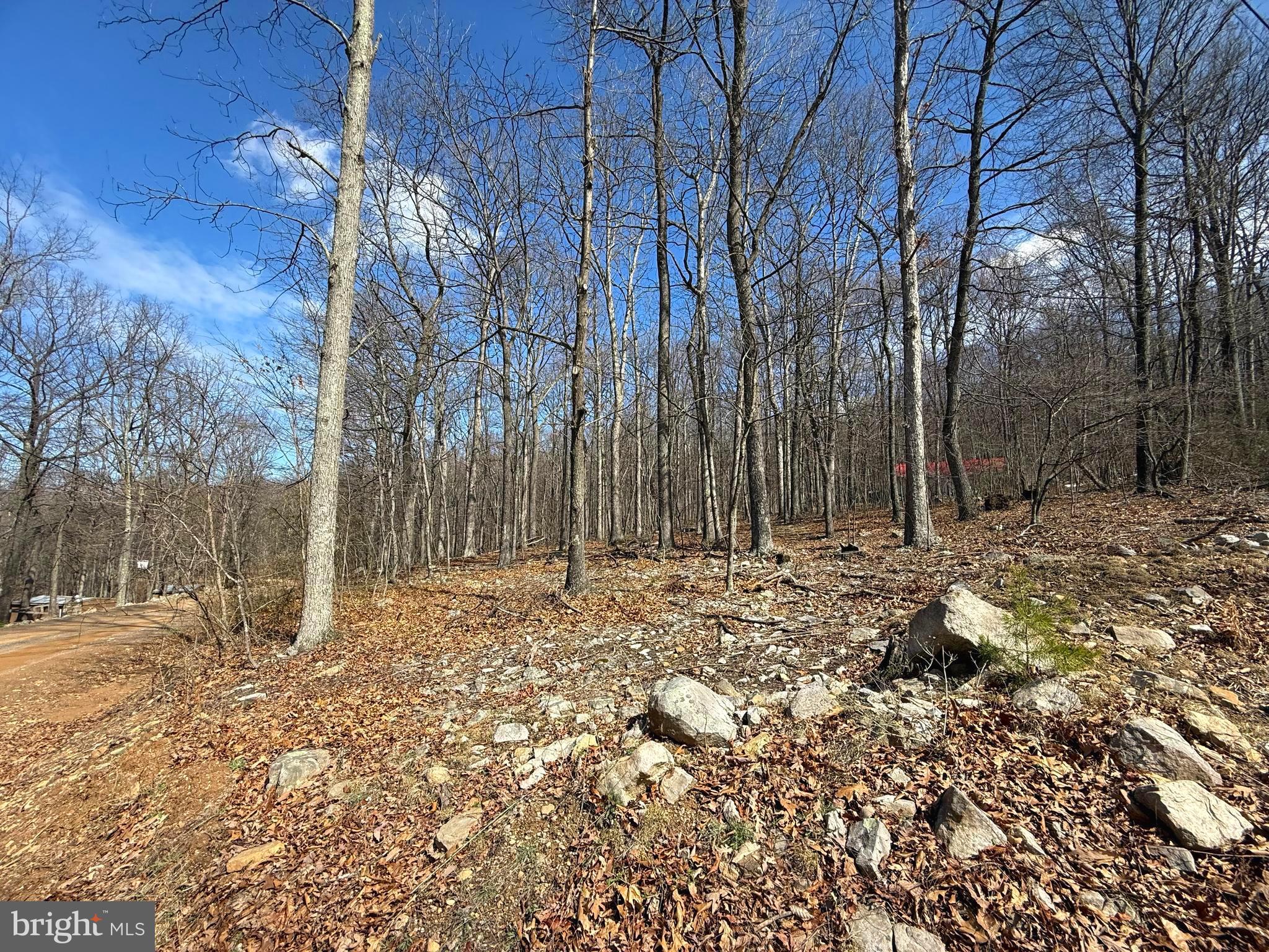 Lot 65 High Mountain View Road Romney, WV 26757 - Photo 2 of 4 Gallery Image 2