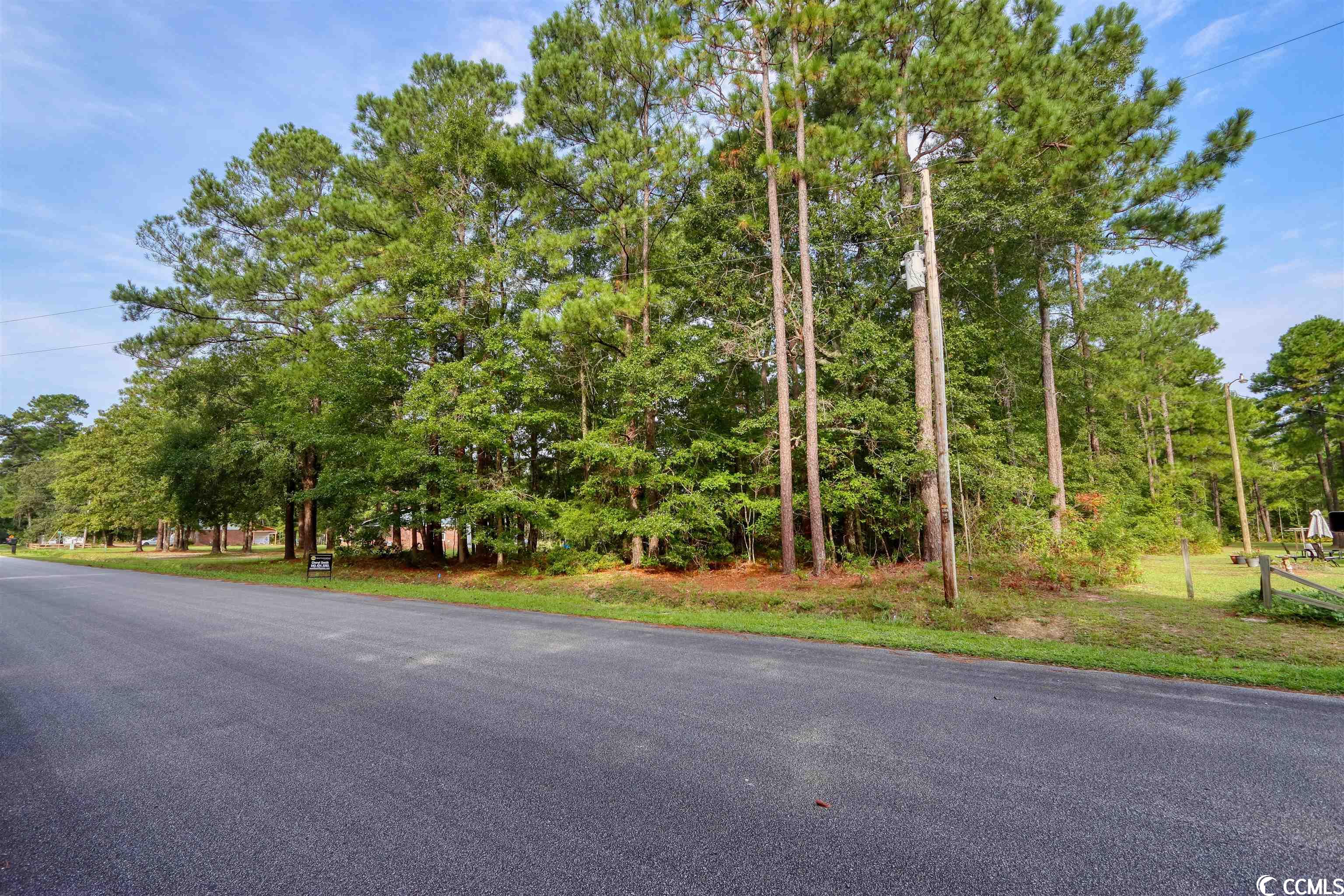 5330 Tweety Avenue Conway, SC 29527 - Photo 11 of 12