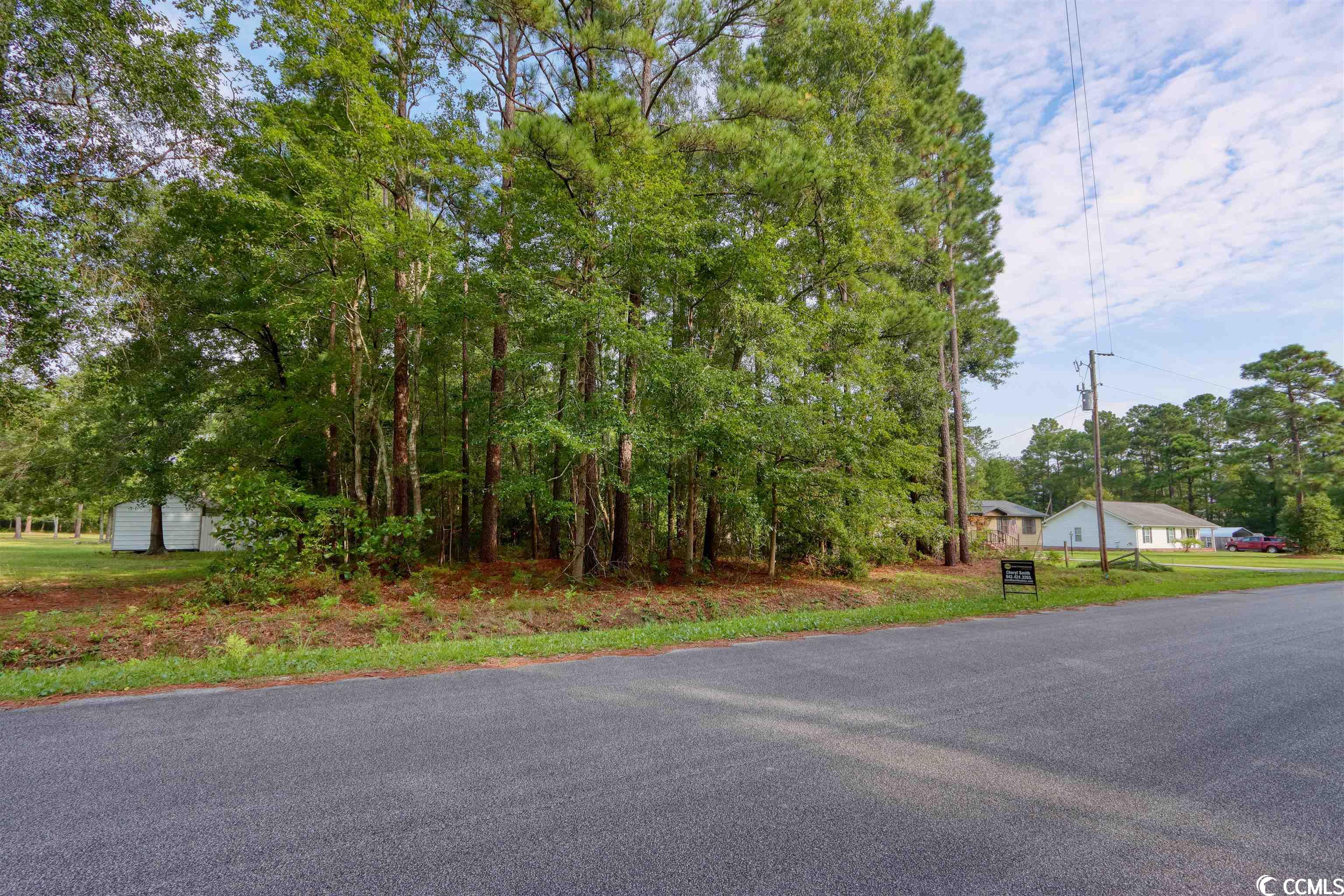 5330 Tweety Avenue Conway, SC 29527 - Photo 12 of 12