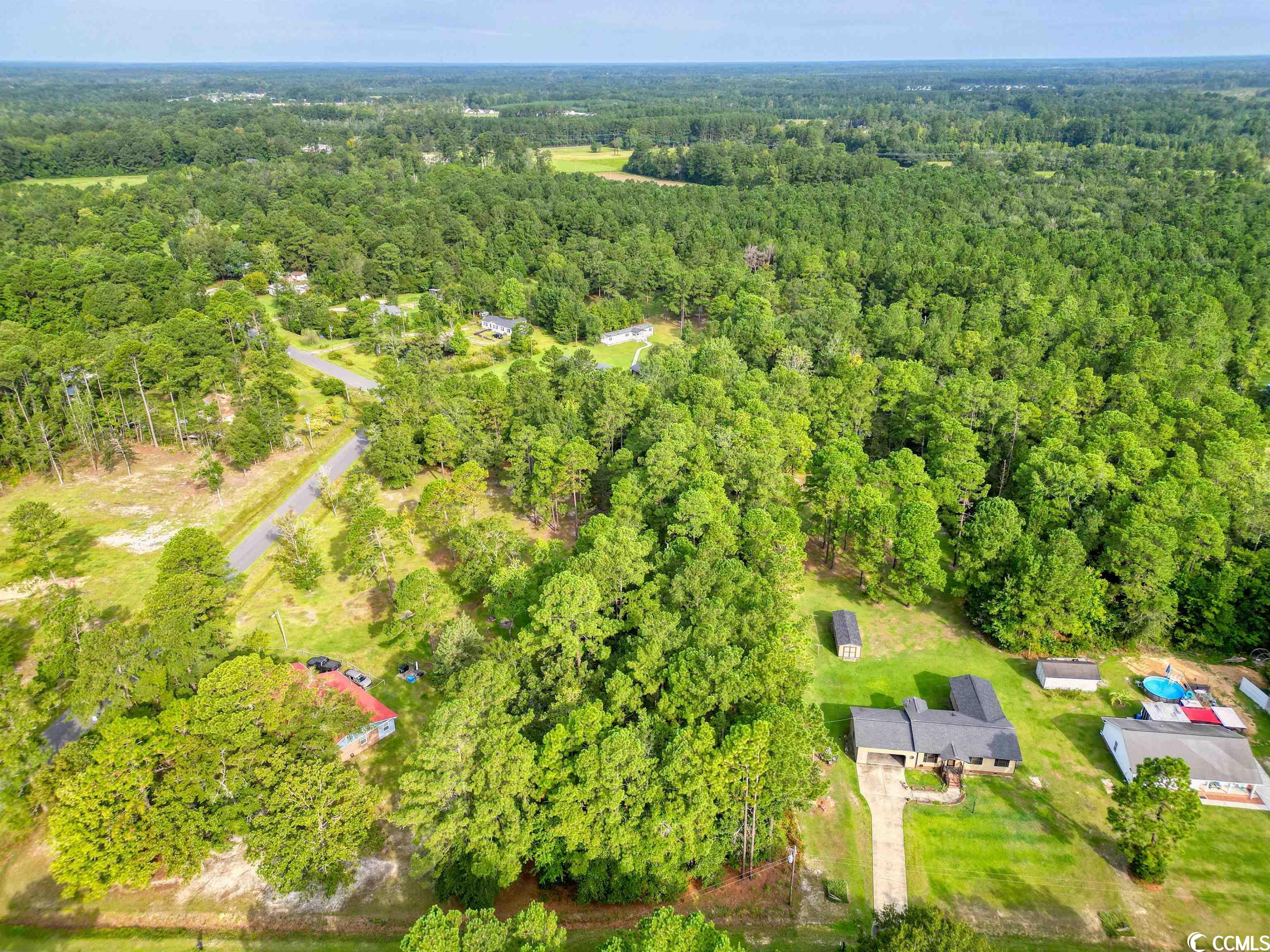 5330 Tweety Avenue Conway, SC 29527 - Photo 4 of 12