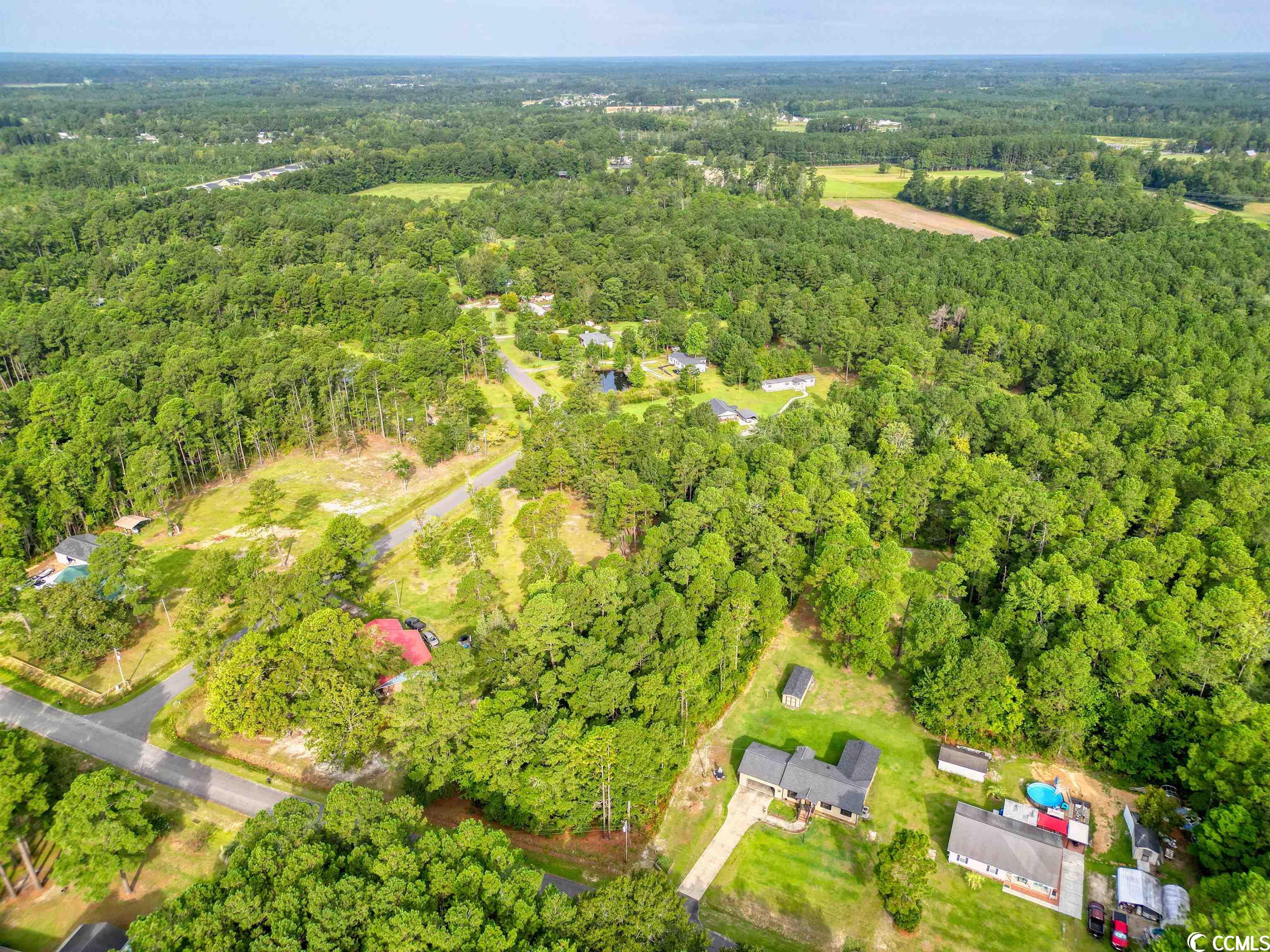 5330 Tweety Avenue Conway, SC 29527 - Photo 5 of 12