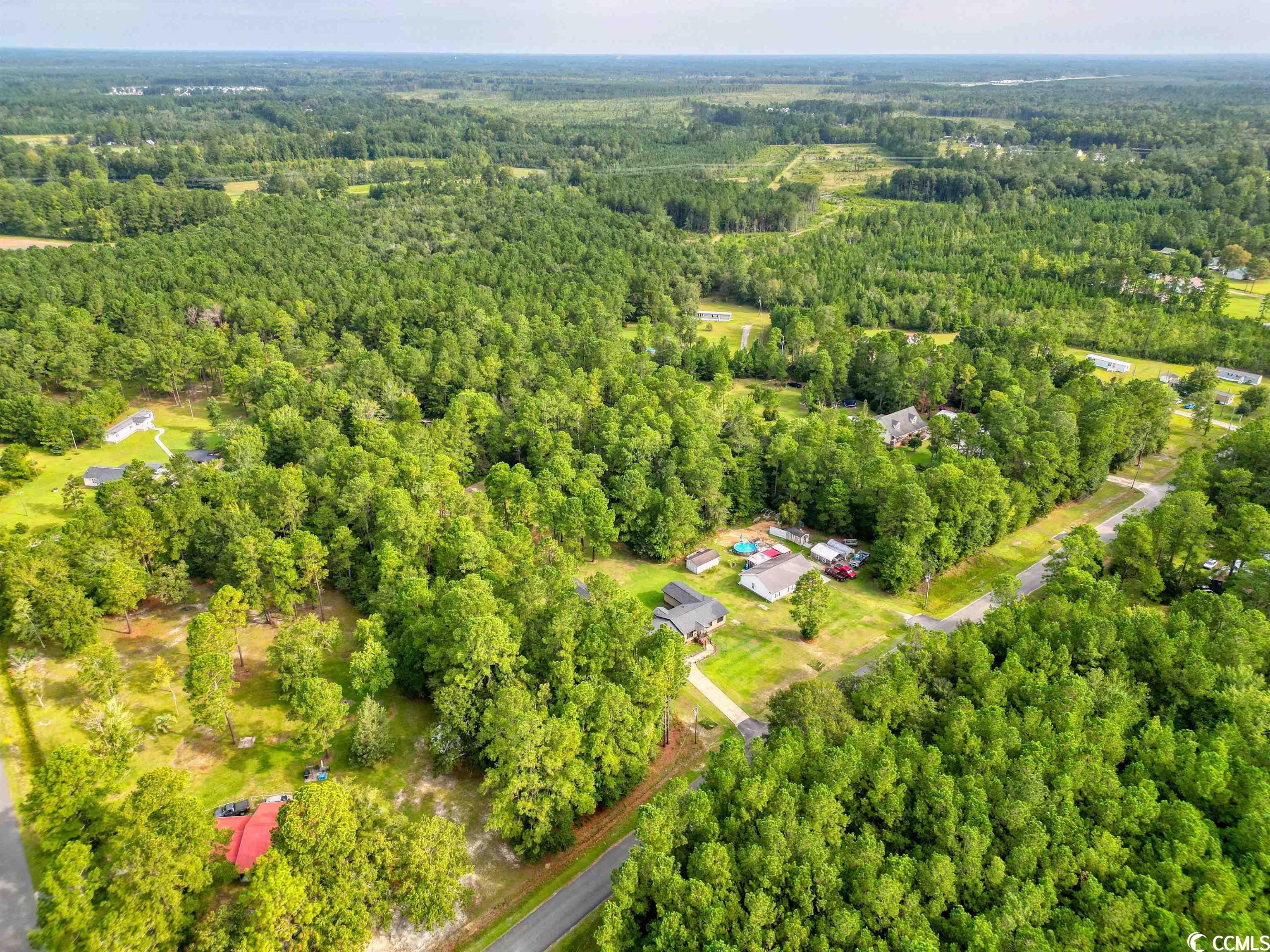 5330 Tweety Avenue Conway, SC 29527 - Photo 6 of 12