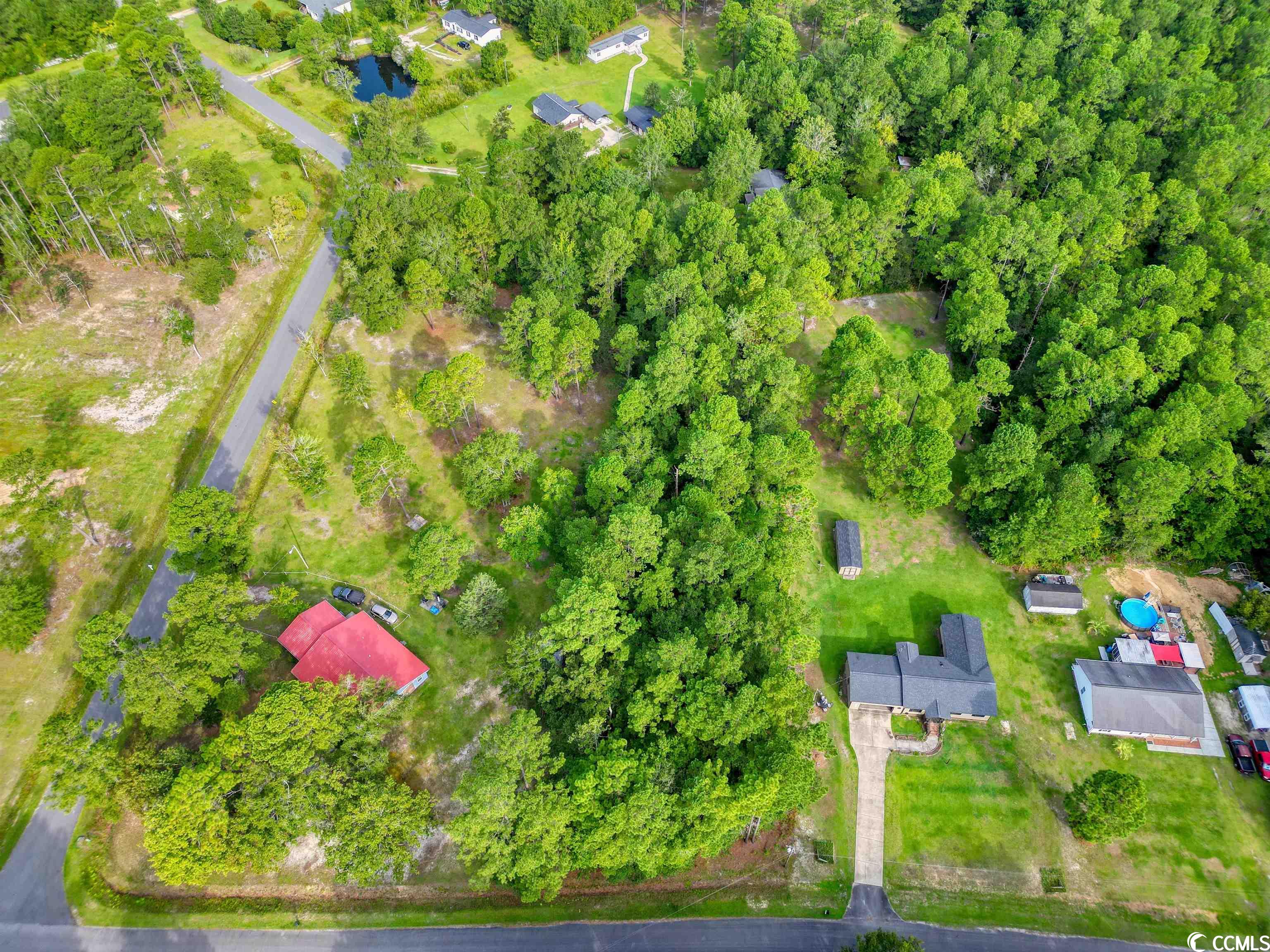 5330 Tweety Avenue Conway, SC 29527 - Photo 7 of 12