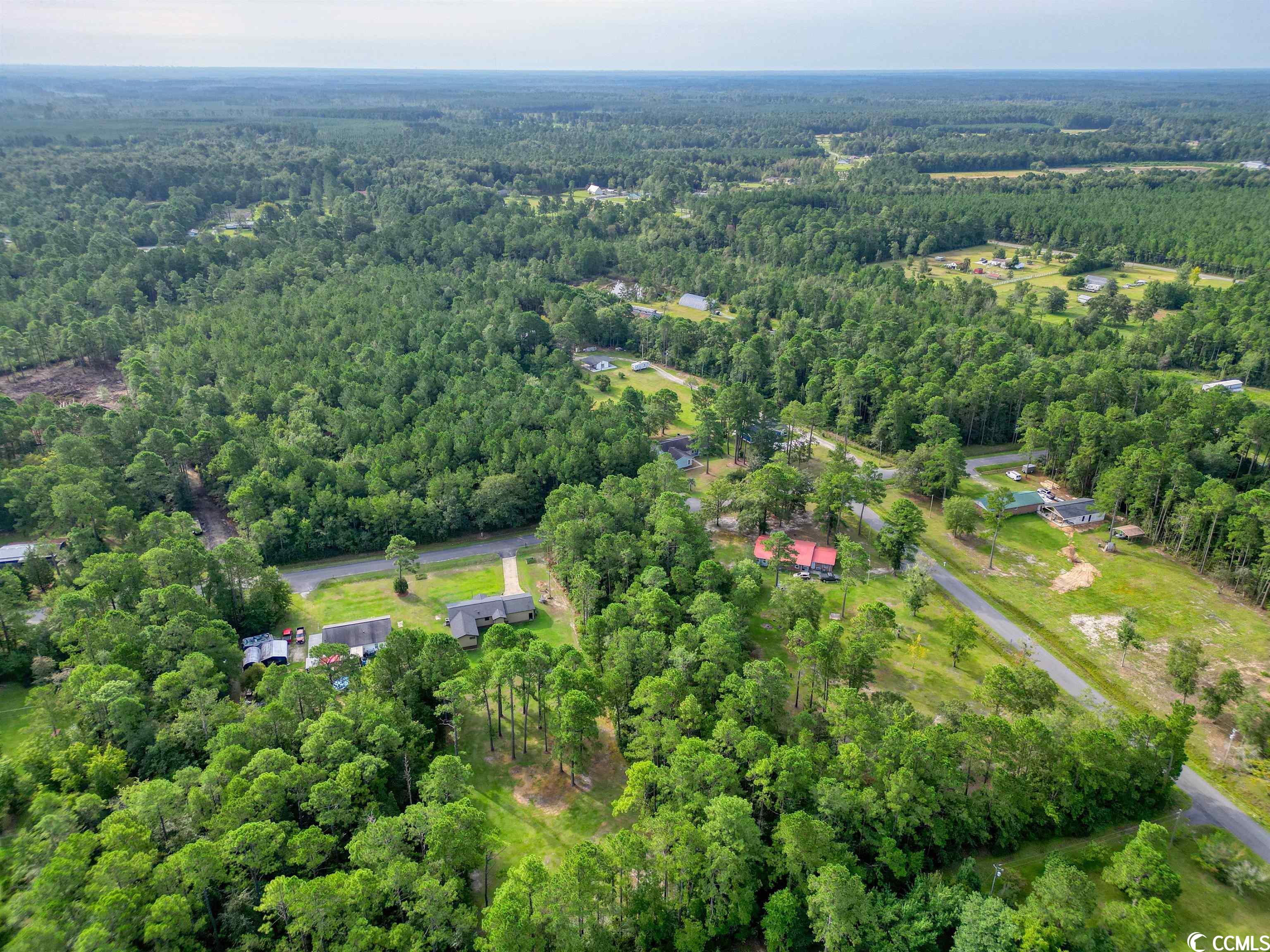 5330 Tweety Avenue Conway, SC 29527 - Photo 10 of 12