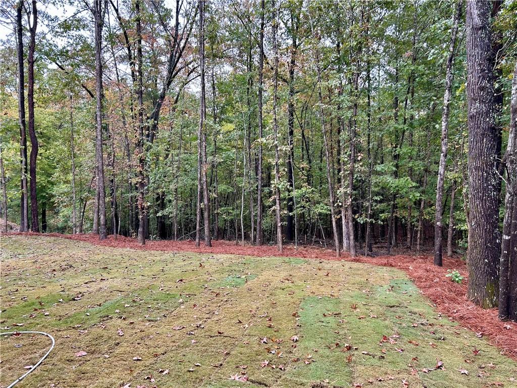27 Stonebrook Drive Rome, GA 30165 - Photo 3 of 22 a view of outdoor space with trees