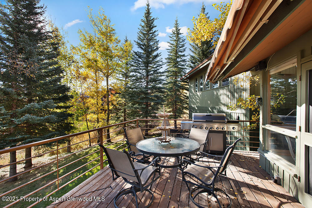 300 Oak Ridge Road Snowmass Village, CO 81615 - Photo 41 of 44 It's BBQ time