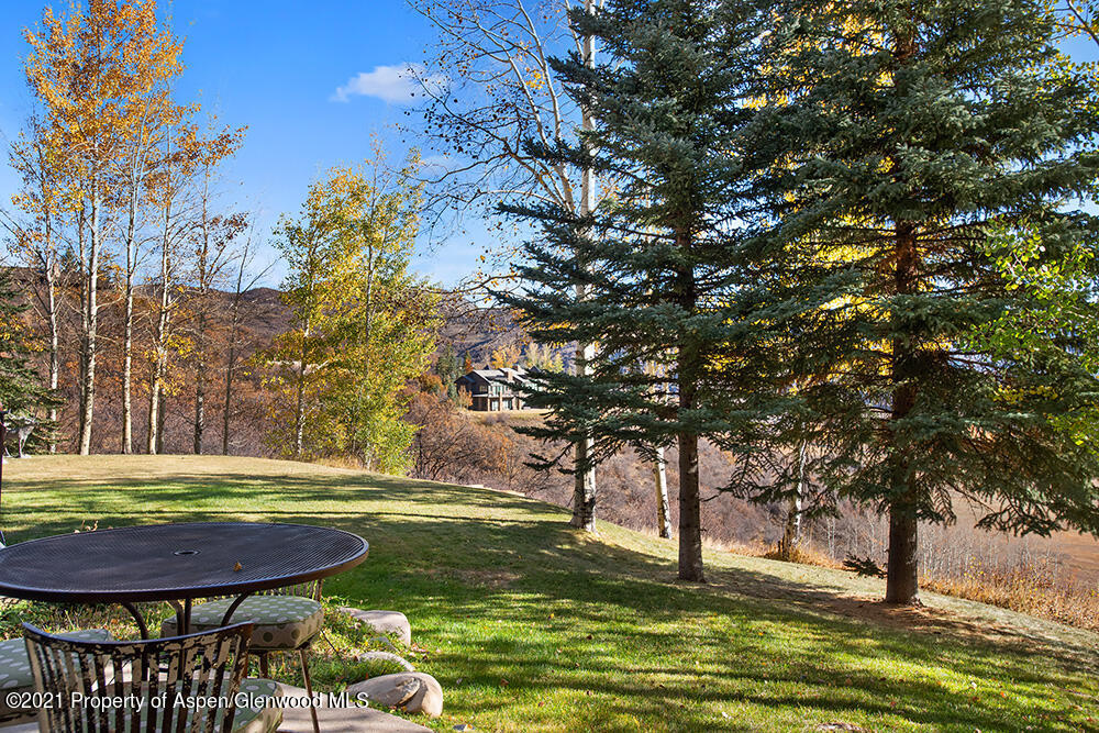 300 Oak Ridge Road Snowmass Village, CO 81615 - Photo 43 of 44 Private back yard