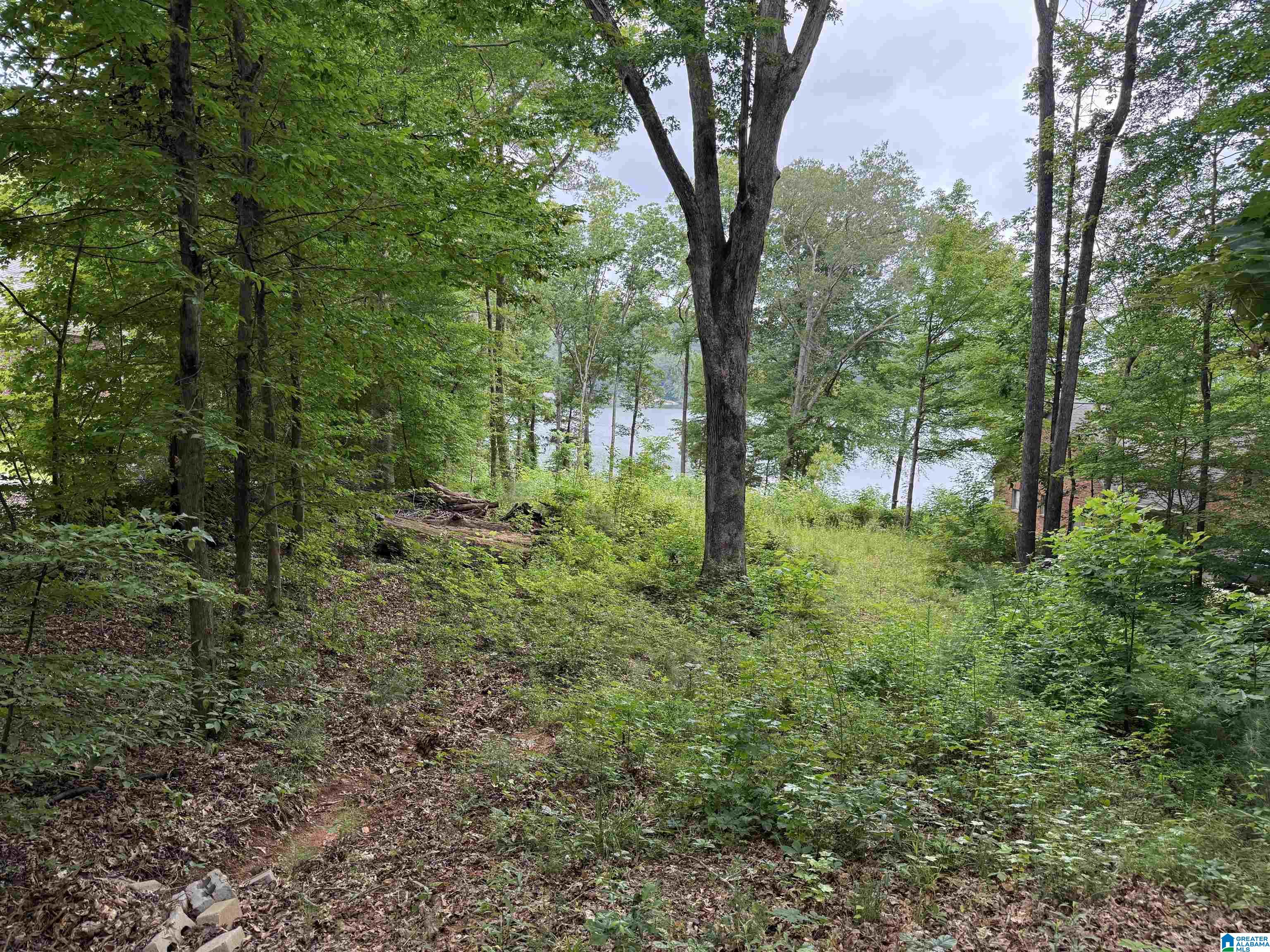 8232 Cedar Mountain Road, Unit LOT 94 Pinson, AL 35126 - Photo 1 of 3