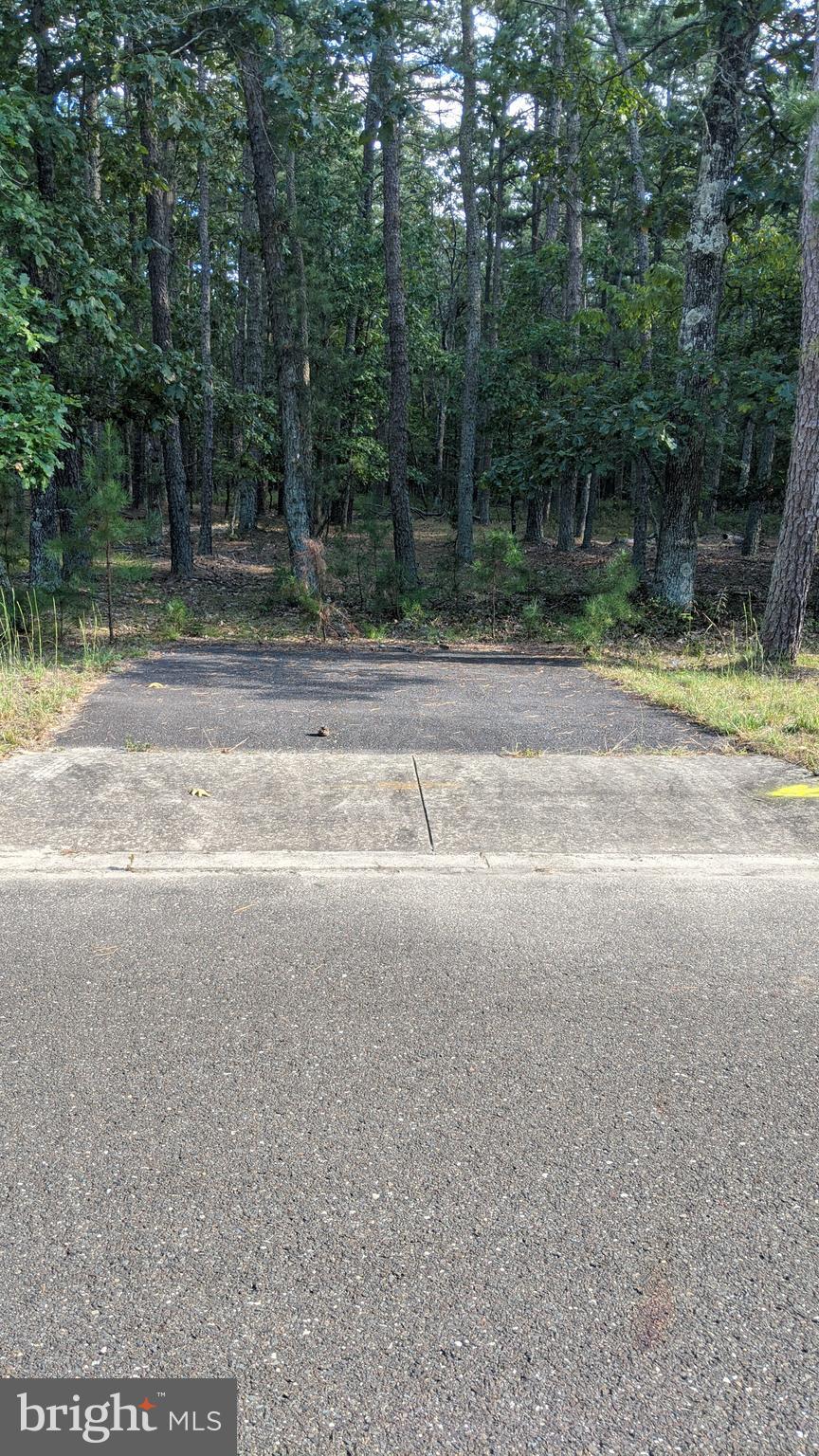 9 Red Onion Road Vincentown, NJ 08088 - Photo 2 of 5 Driveway cut in