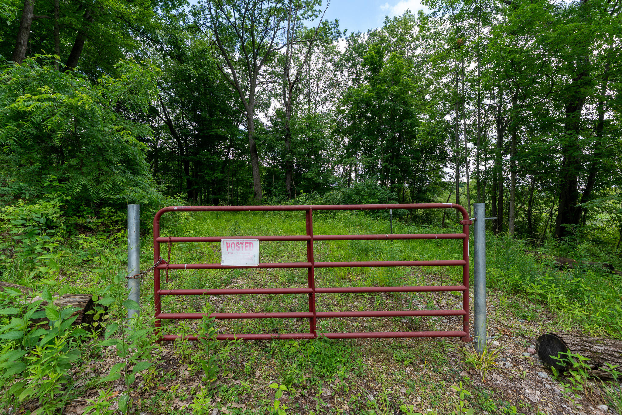 47.06 Weiser Road Niles, MI 49120 - Photo 2 of 19 DSC09013