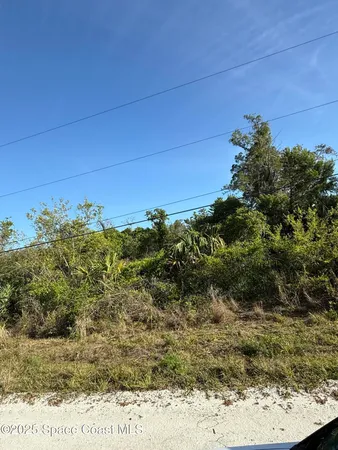 $98,500 | 0 Joel Avenue, Mims, FL 32754