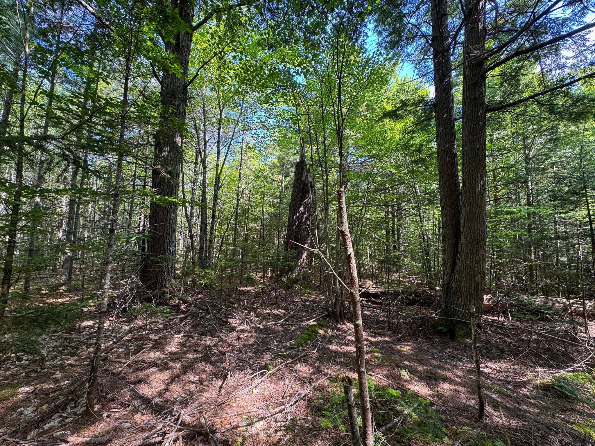 708 Howland Road Lagrange, ME 04453 - Photo 12 of 23 IMG_4783