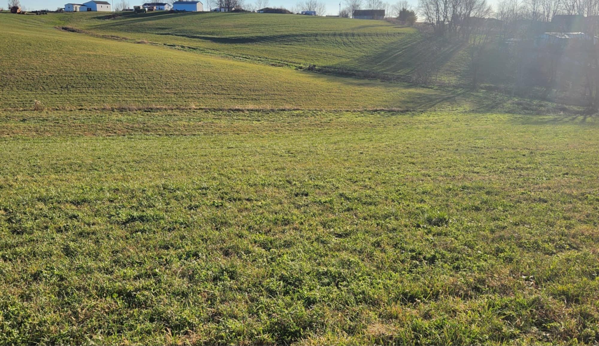 7370 Energy Road Ewing, KY 41039 - Photo 25 of 53 att.Ujyuqca9VAUmEsPIZZlNCf2444WaNL6j-zhn