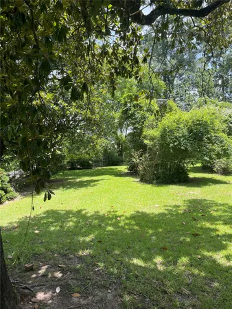 a view of a field with a tree