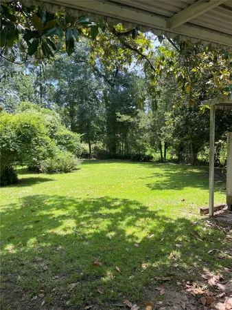 a view of a trees with a yard