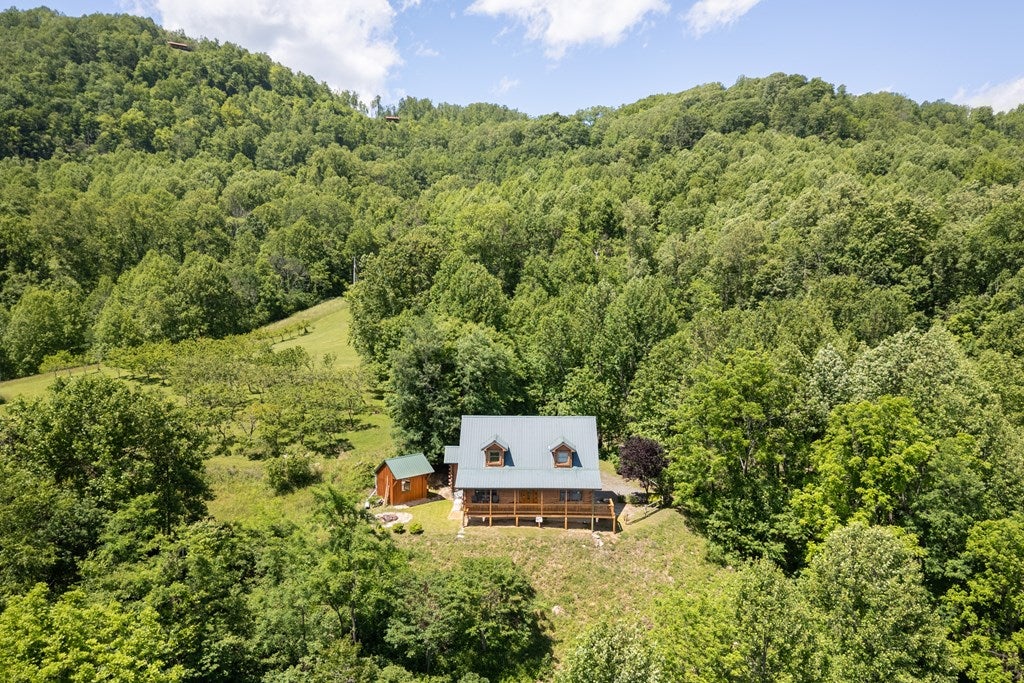 8743 Wards Gap Road Cana, VA 24317 - Photo 18 of 94 Gallery Image 18