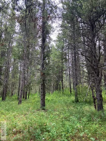 $125,000 | 1596 Annies Landing, Ashton, ID 83420