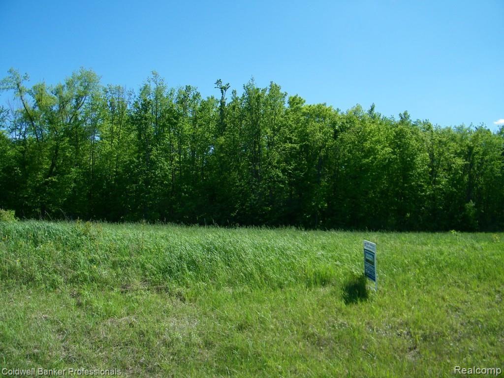 2 North Branch Rd Branch Fostoria, MI 48435 - Photo 2 of 6