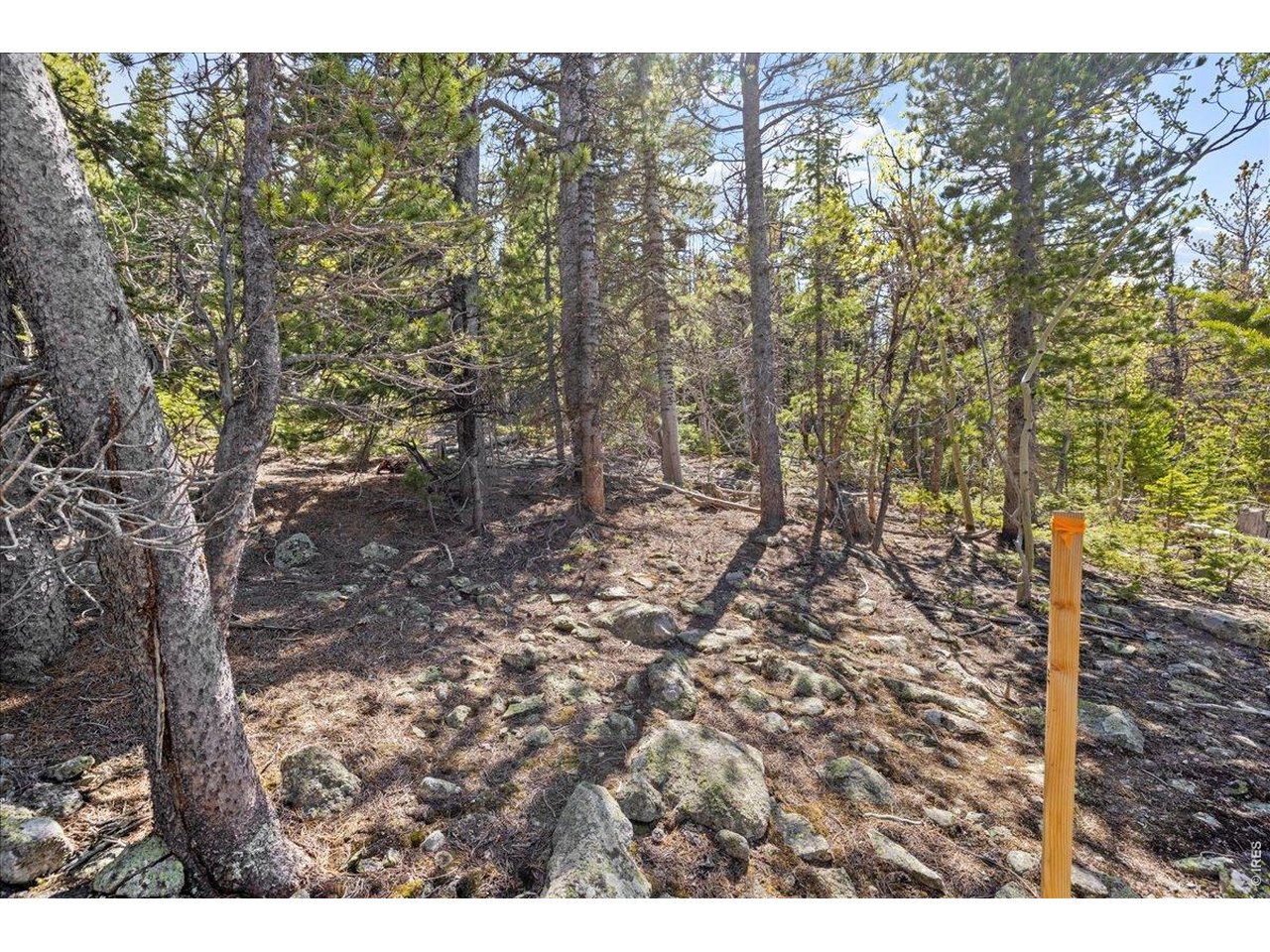 1199 Brainard Lake Road Ward, CO 80481 - Photo 9 of 27