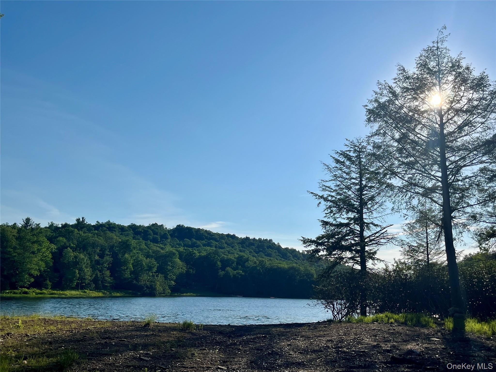 47 Eagles Ridge Way Parksville, NY 12768 - Photo 1 of 19