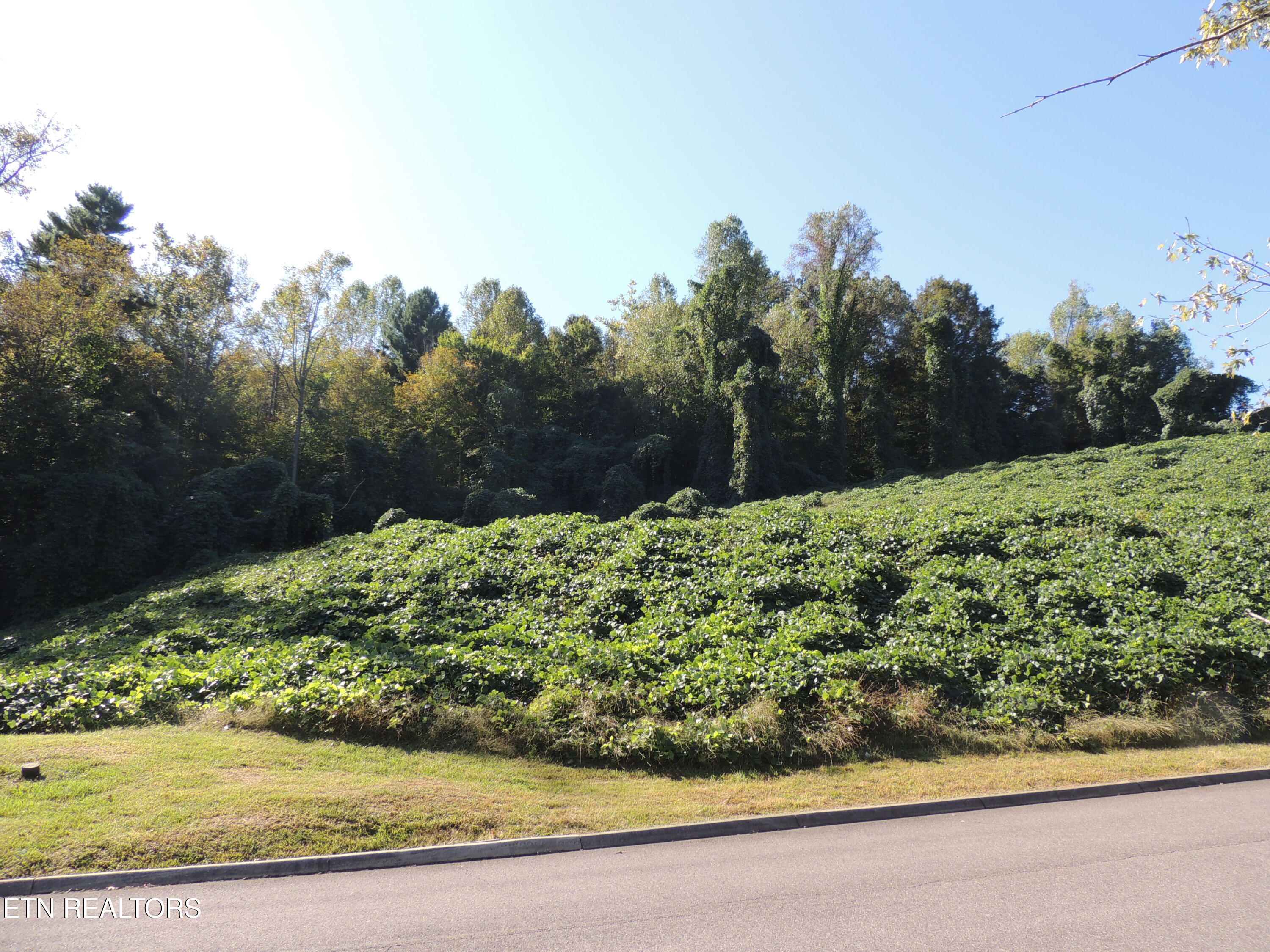 8548 Zinc Road Knoxville, TN 37938 - Photo 13 of 14 8548 Zinc Rd