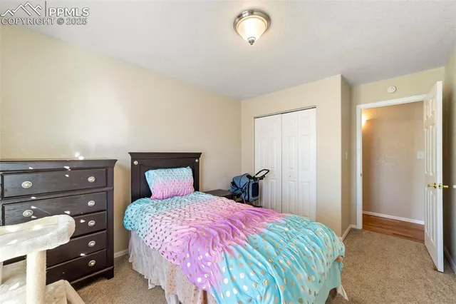 a bedroom with a bed and a closet