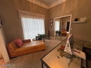 5237 Highway 43 Camden, MS 39045 - Photo 23 of 62 Formal Living 1