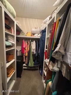 5237 Highway 43 Camden, MS 39045 - Photo 29 of 62 Walk in 1 b